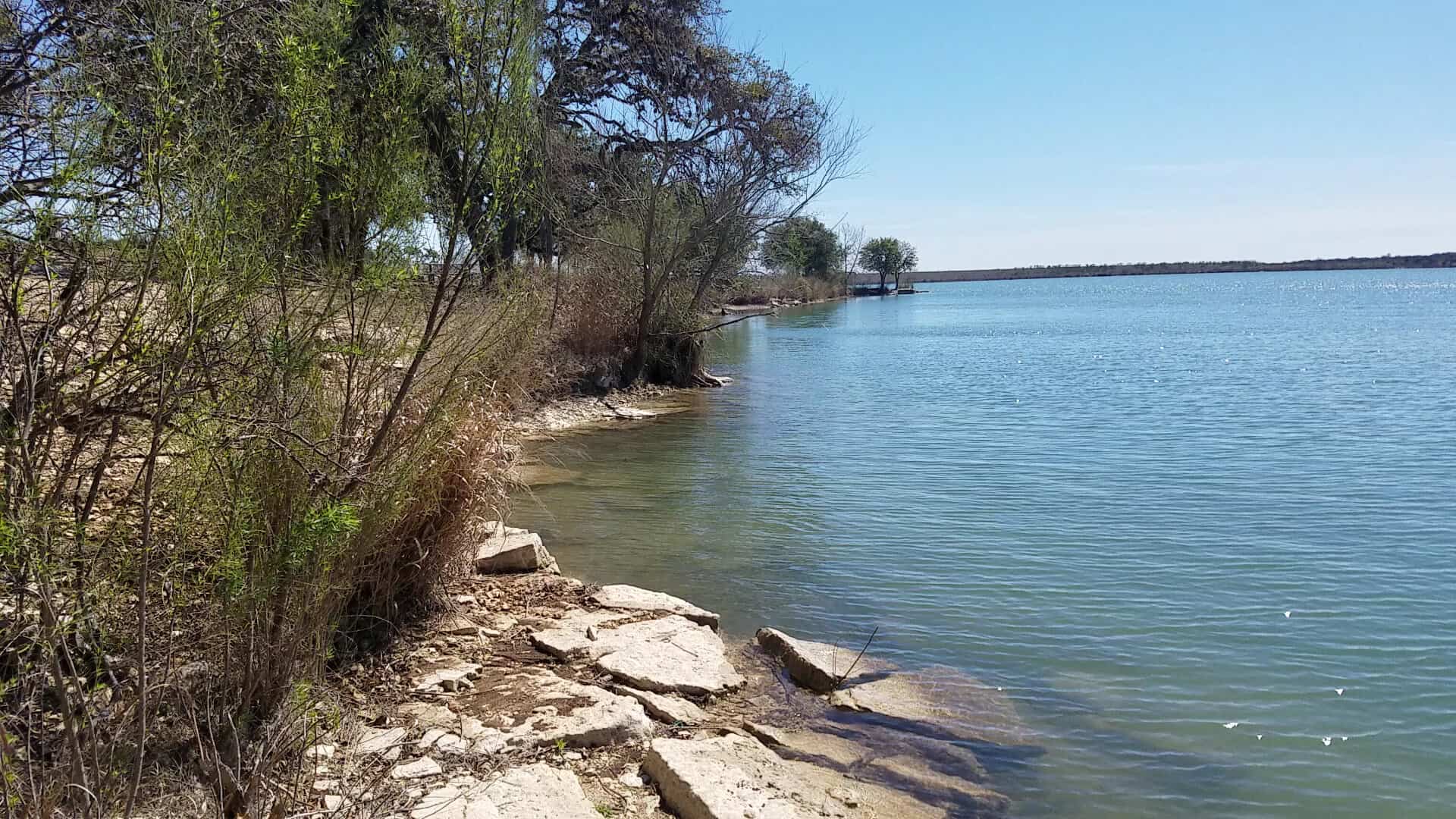 Limestone rock bank and shade trees along the edge of Boerne City Lake