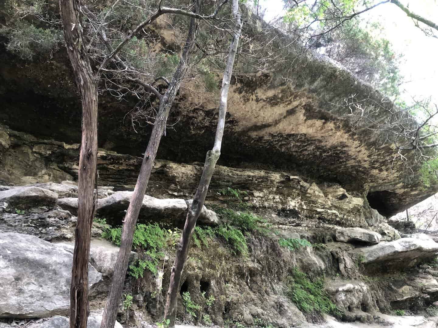 Limestone overhang and ledge along the canyon on River Place Nature Trail in Austin, Texas