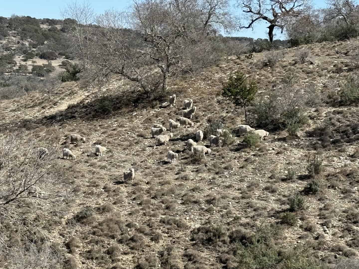 Rugged limestone and rock terrain along the trails at Flat Rock Ranch