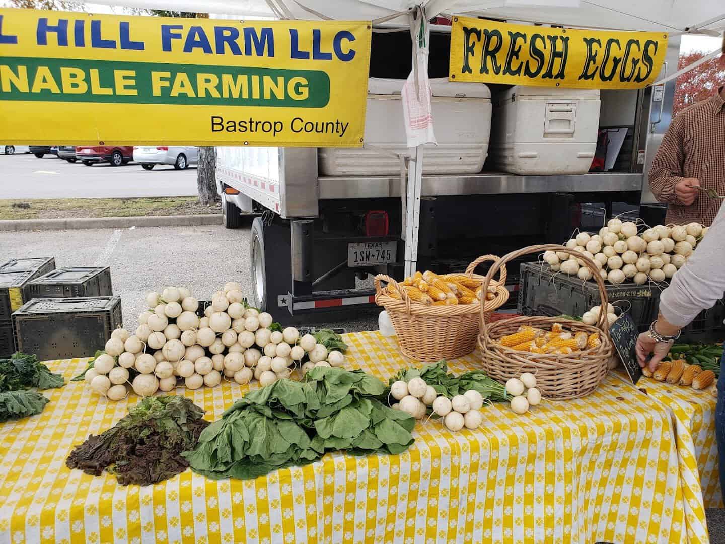 Local farm stand with fresh eggs and produce at Barton Creek Farmers Market in Austin, Texas