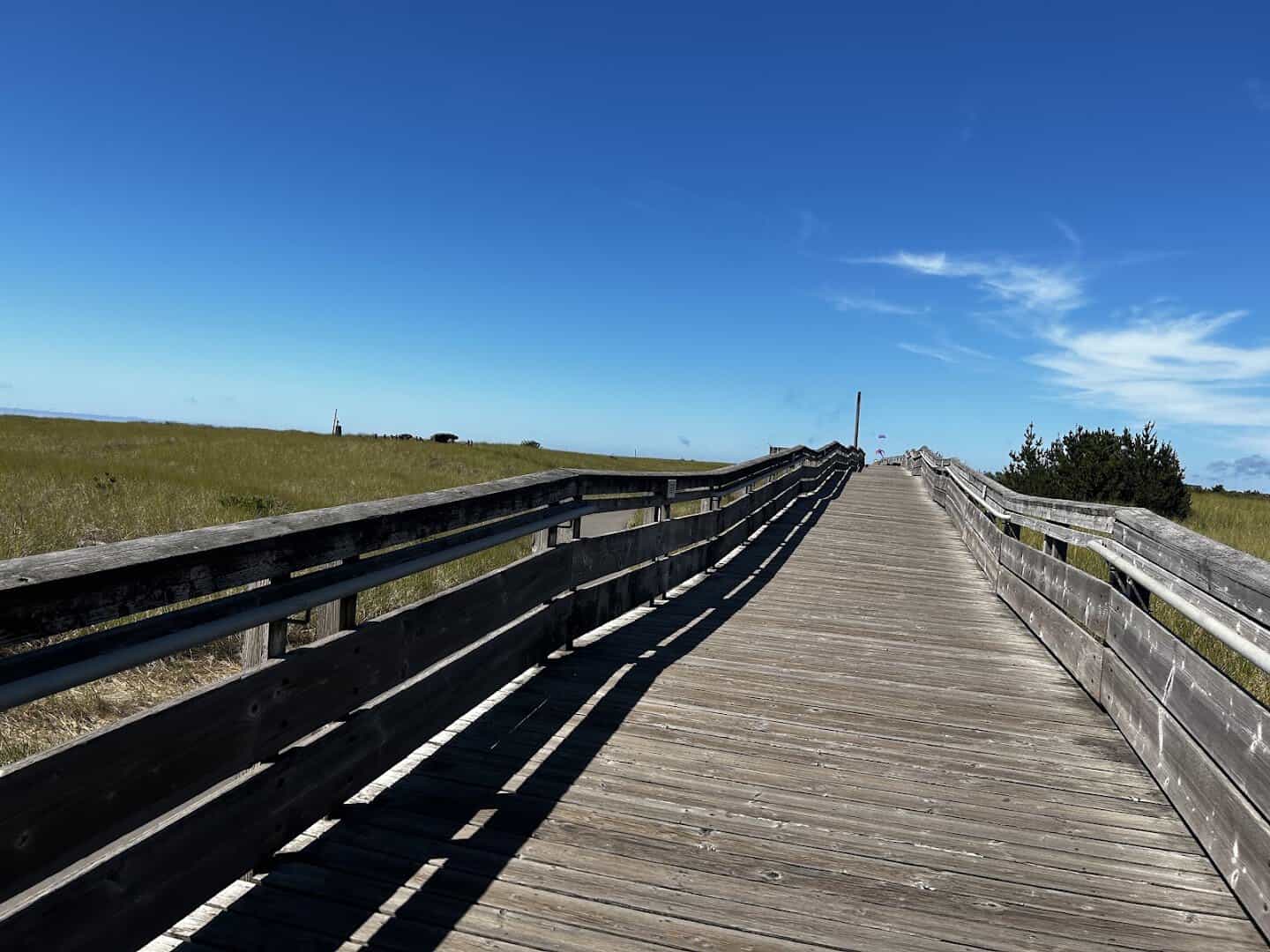 The Long Beach Boardwalk winding through the dunes in Long Beach, Washington