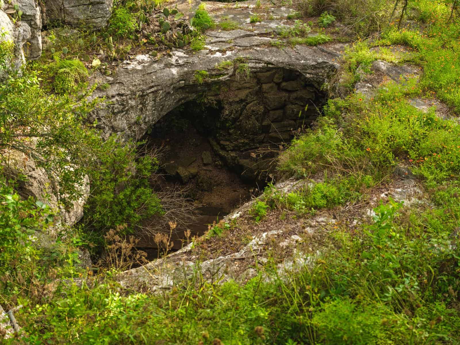 Natural stone arch cave entrance amid wildflowers at Longhorn Cavern State Park, Texas