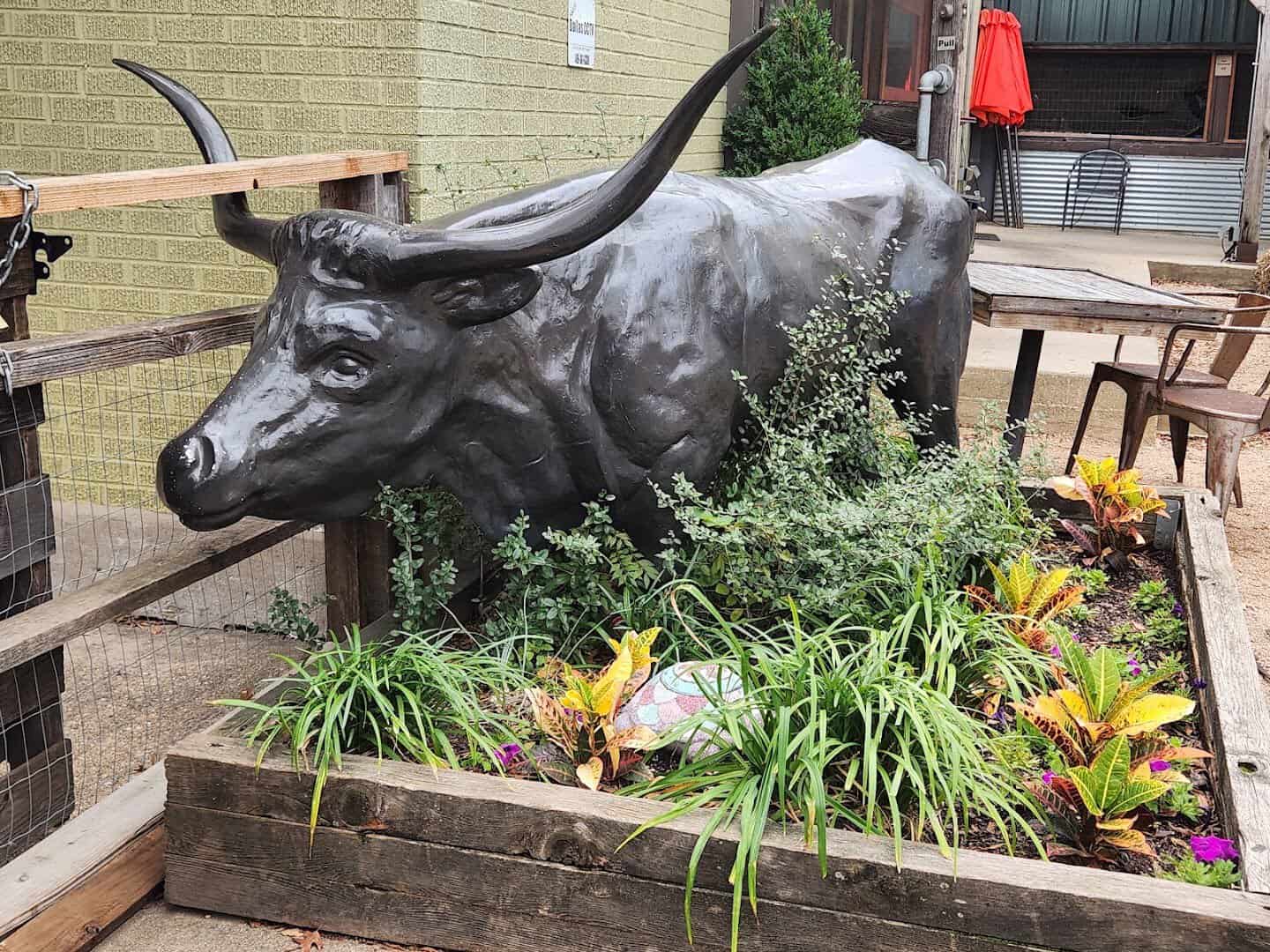 Longhorn sculpture in the planter outside Pecan Lodge in Dallas