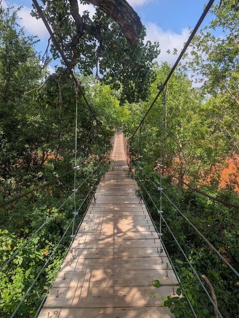 Walking across the swinging bridge at Lucy Park in Wichita Falls, Texas