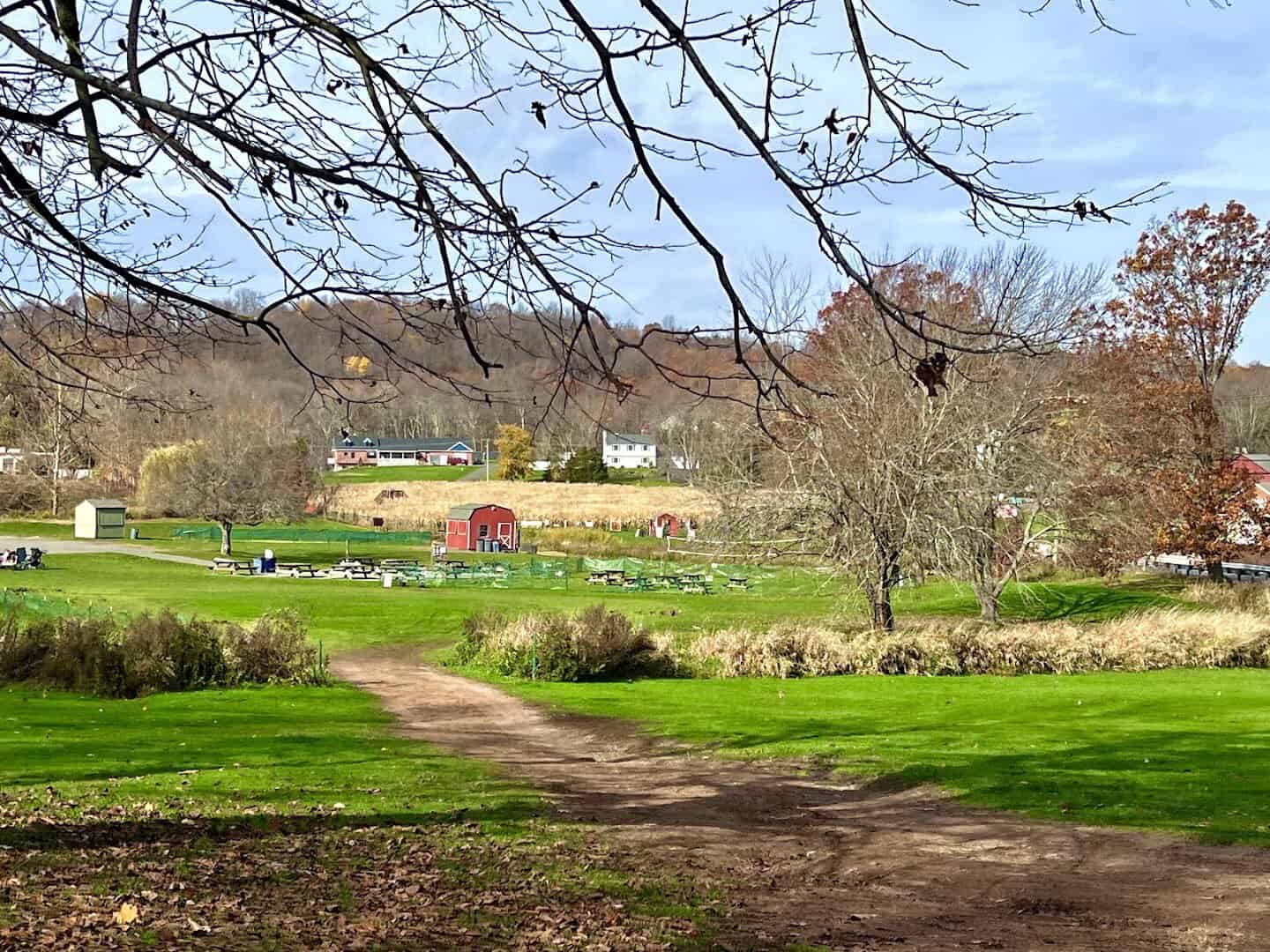 Fall foliage over the corn maze fields and picnic area at Lyman Orchards in Middlefield, Connecticut