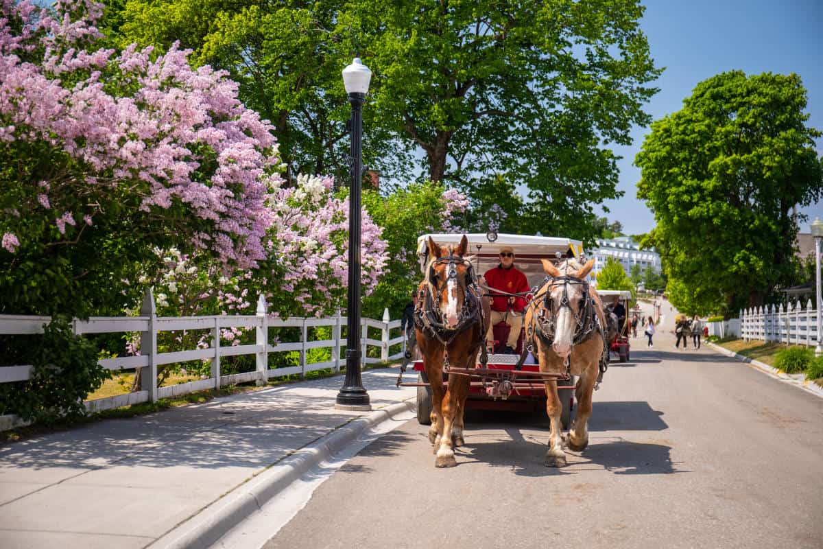 Horse-drawn carriage on a village street on Mackinac Island, Michigan