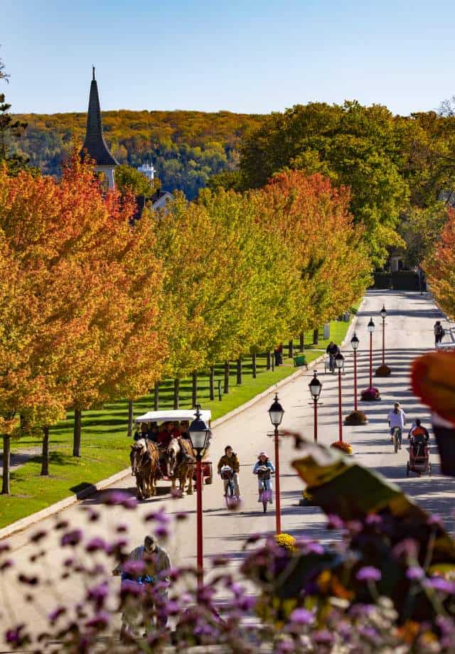 Tree lined avenue with fall foliage on Mackinac Island, Michigan