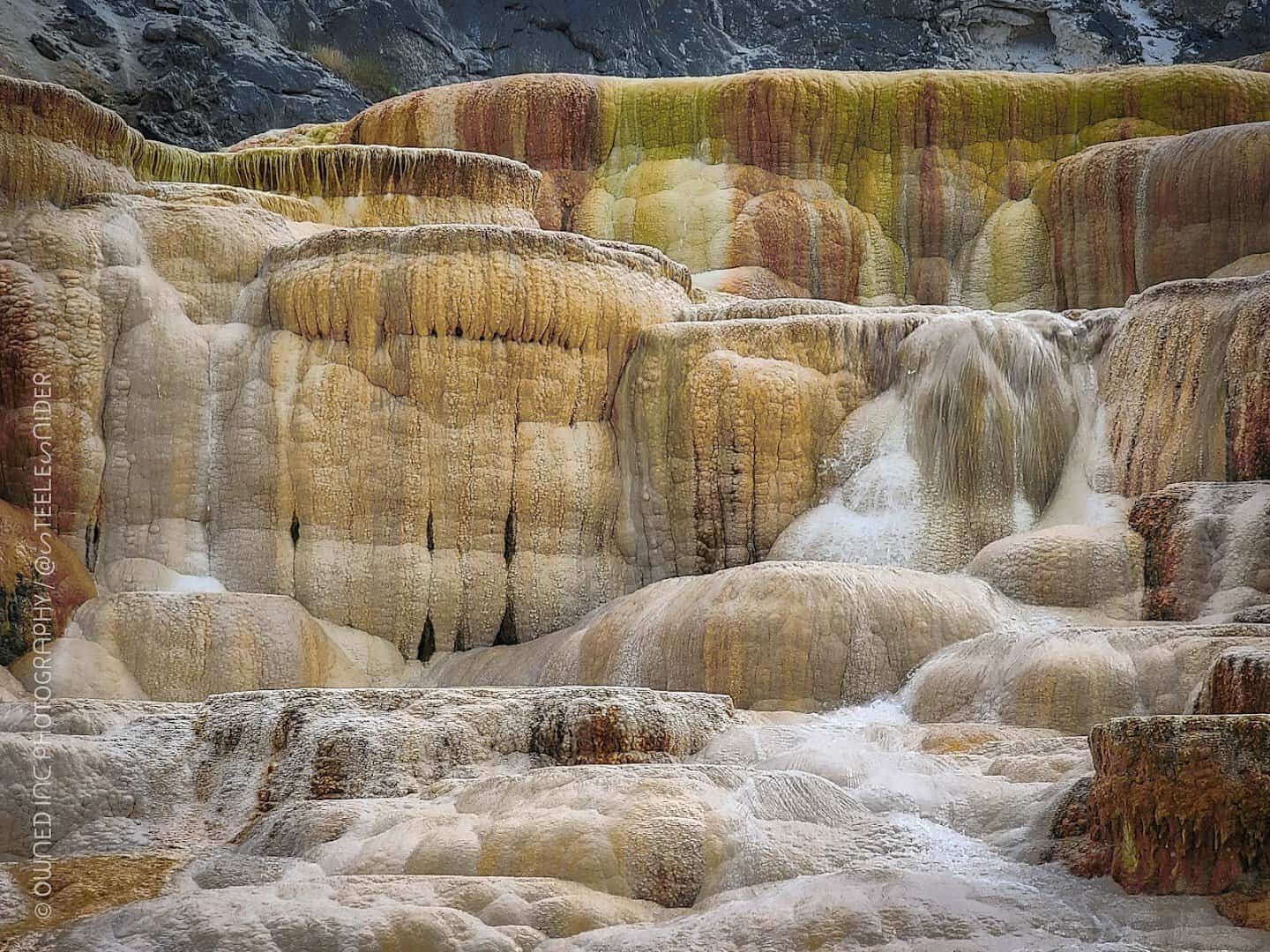 Travertine terraces at Mammoth Hot Springs in Yellowstone, Wyoming