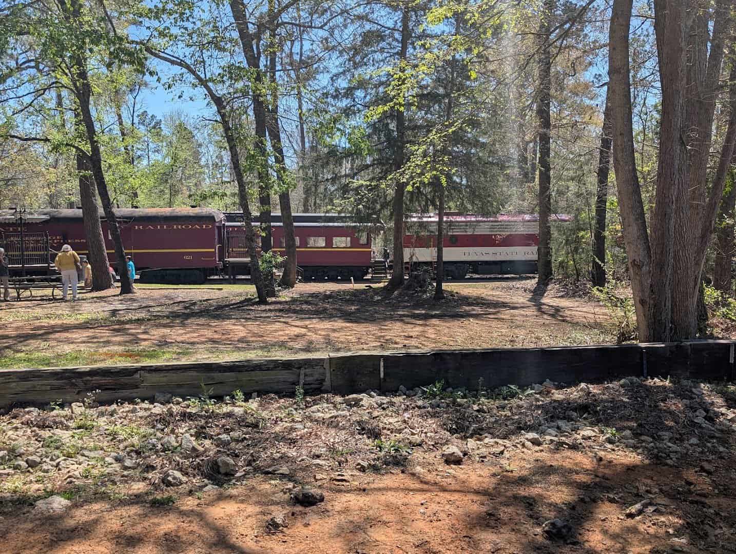 Texas State Railroad maroon coaches rolling through the East Texas pine forest