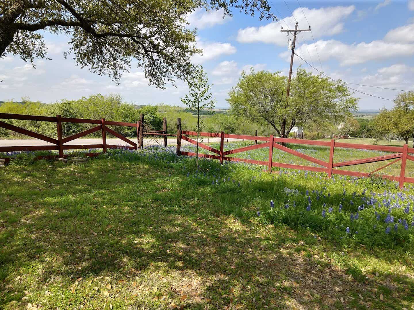 Shaded park and trail along the river at Max Starcke Park in Seguin, Texas