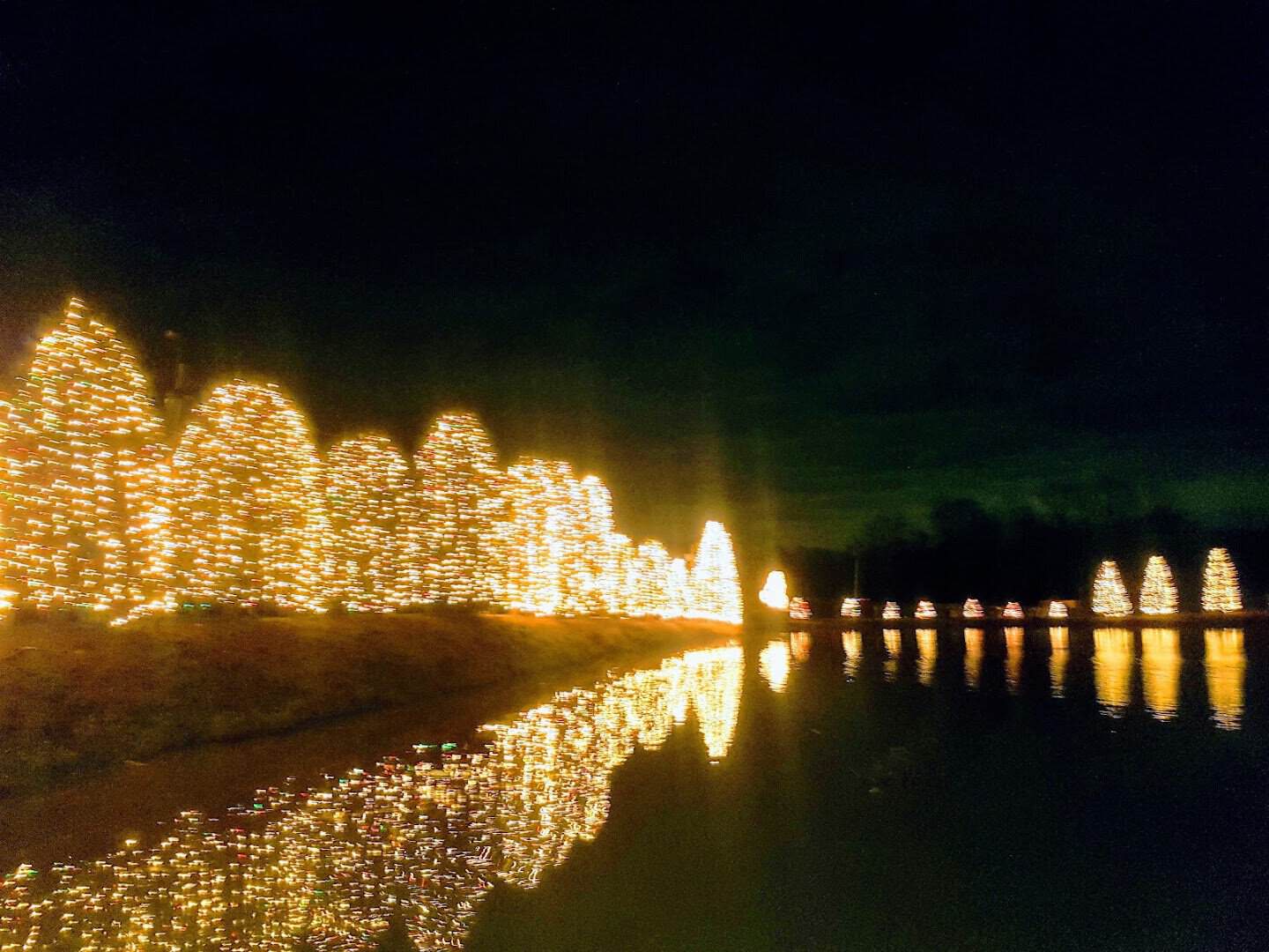 Christmas lights on trees reflected in the pond in McAdenville, North Carolina