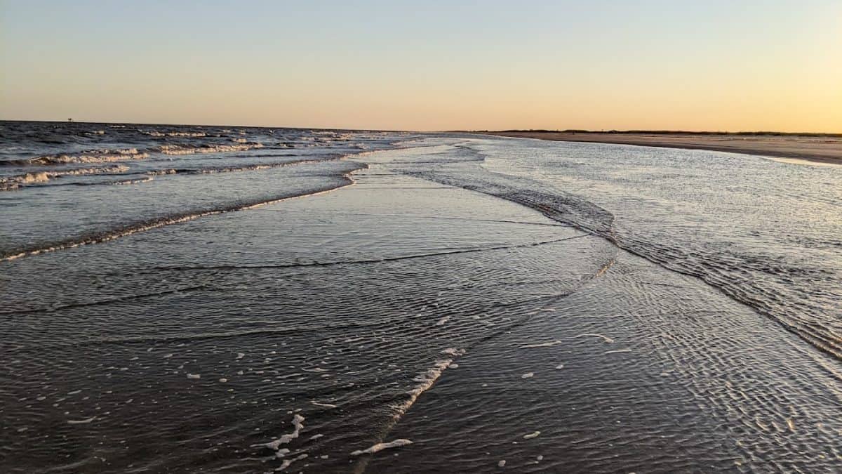 This Scenic Texas Nature Preserve Hides a Secret Beach Where You Can Dig for Prehistoric Shark Teeth