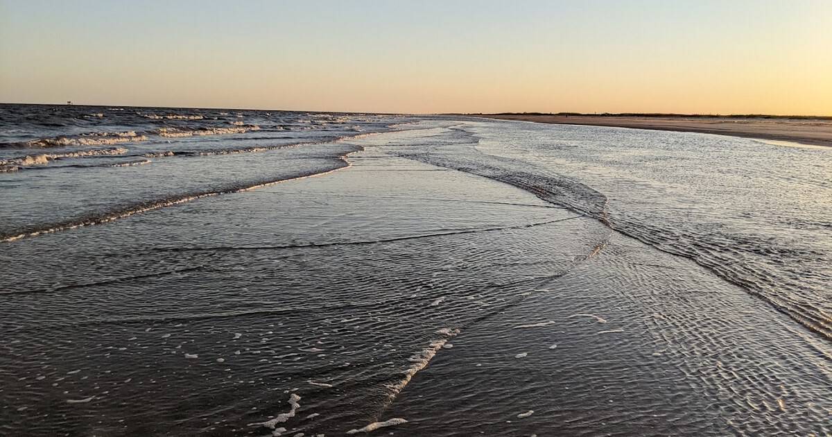 This Scenic Texas Nature Preserve Hides a Secret Beach Where You Can Dig for Prehistoric Shark Teeth