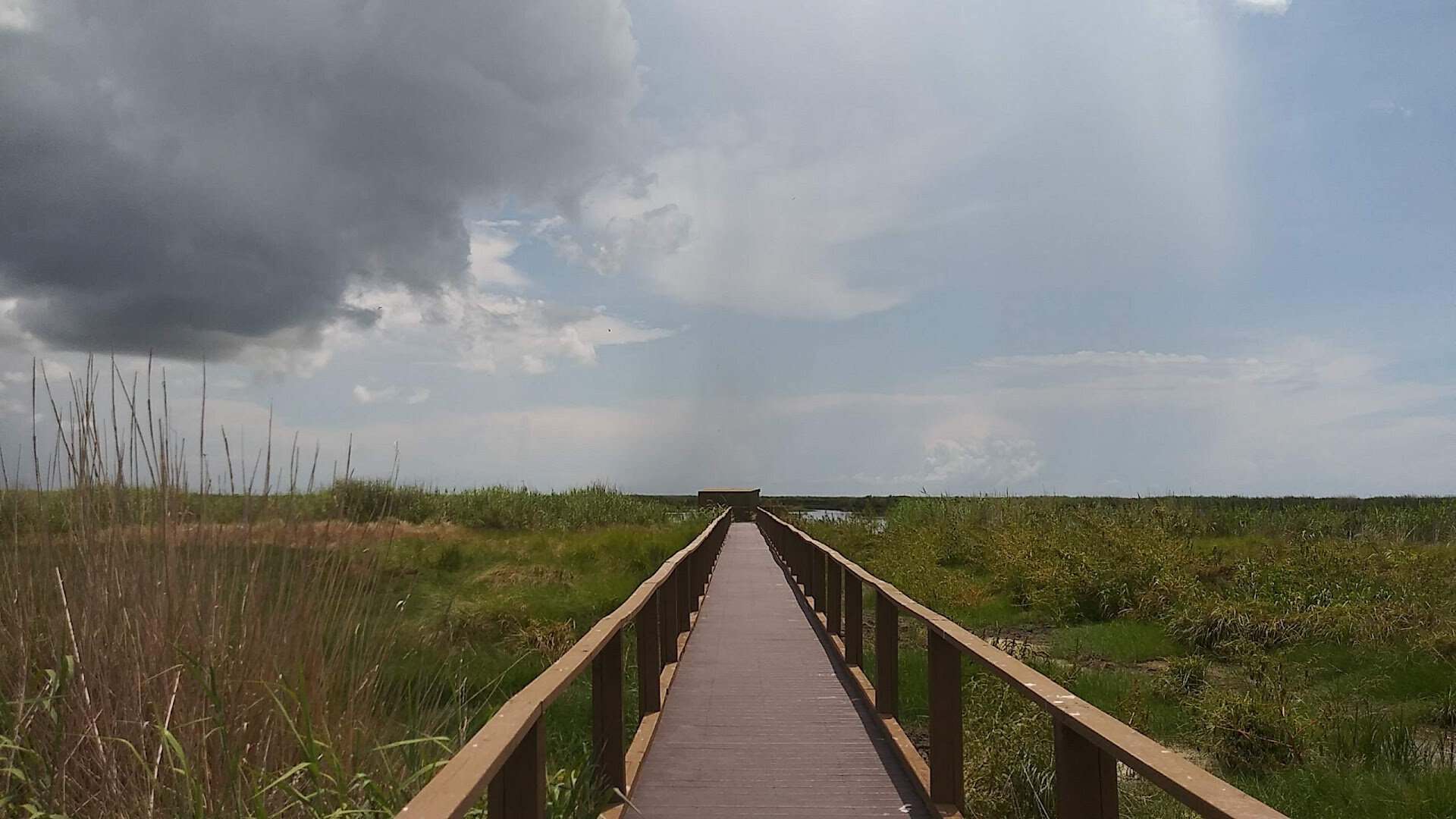 Marsh water trail through the reeds at McFaddin National Wildlife Refuge, Texas