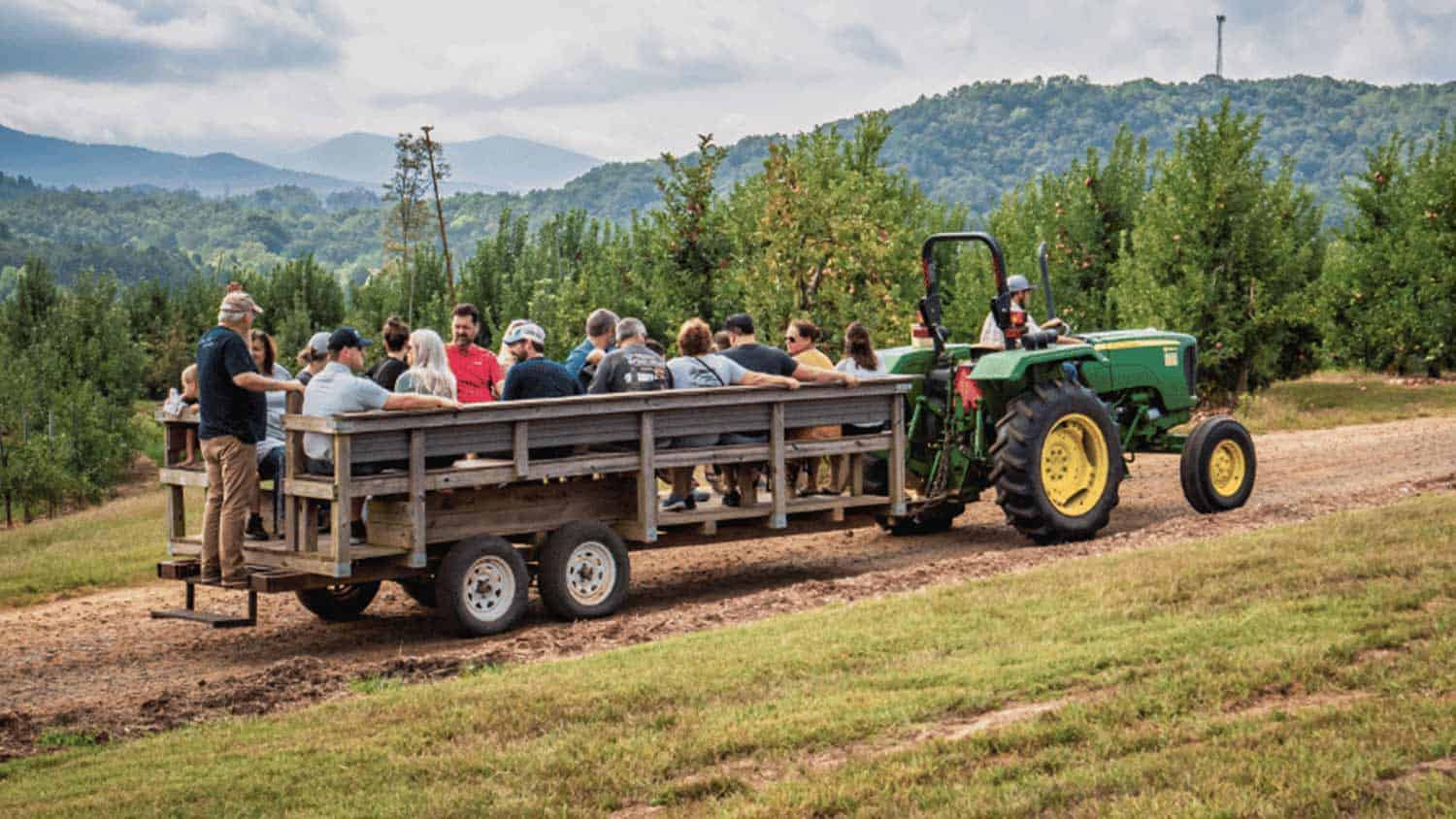 Tractor pulling a hayride wagon through the orchard at Mercier Orchards in Blue Ridge, Georgia