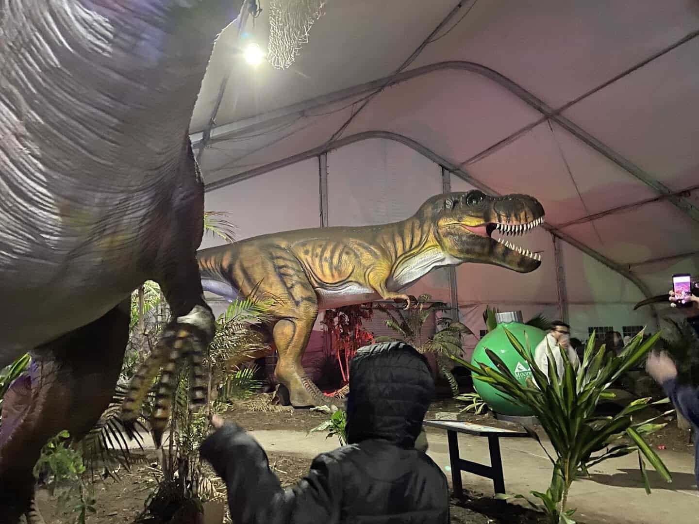 Dinosaur exhibit at the Discovery Museum at Moody Gardens in Galveston