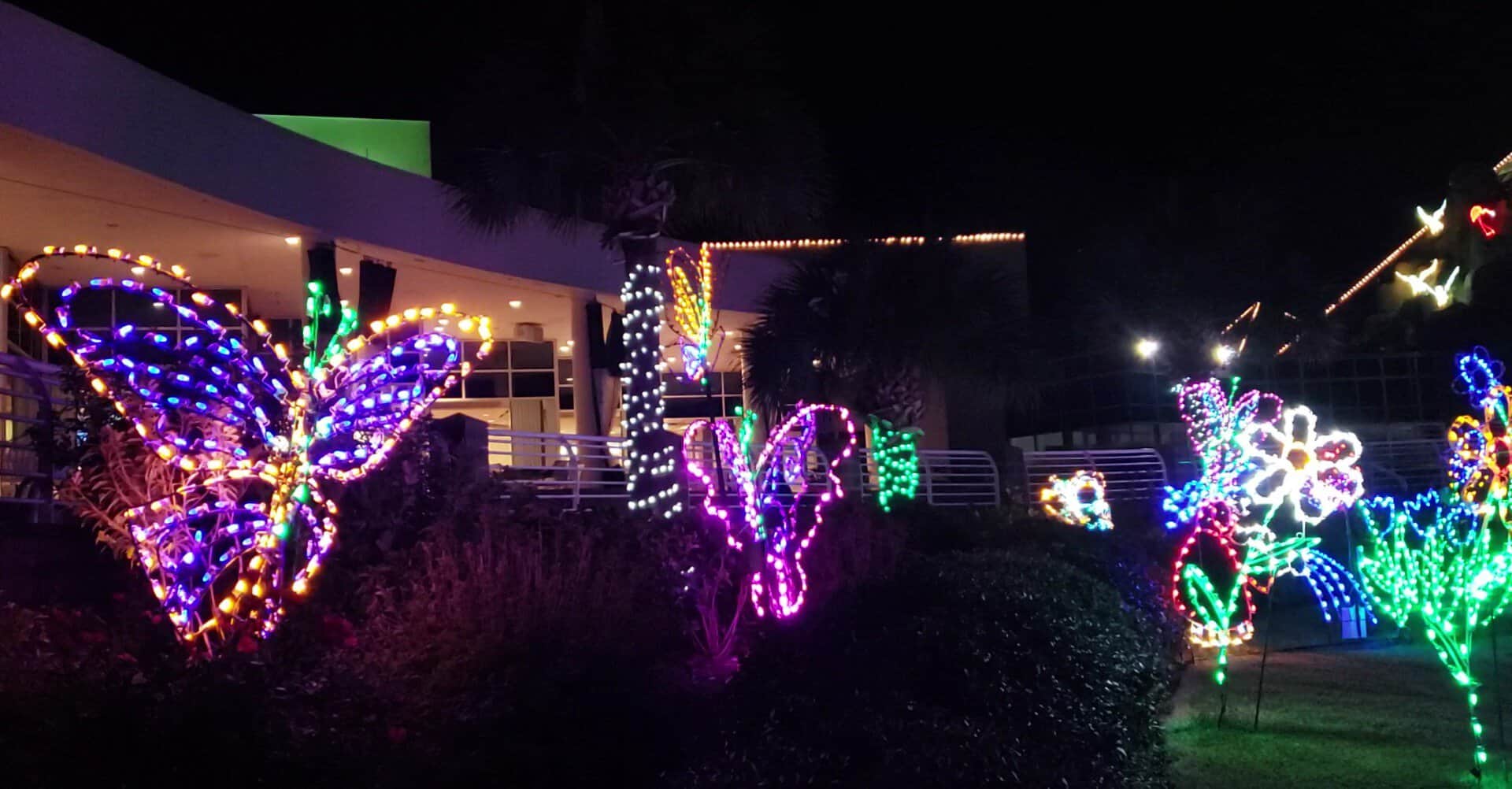 Illuminated sculptures at the Festival of Lights at Moody Gardens