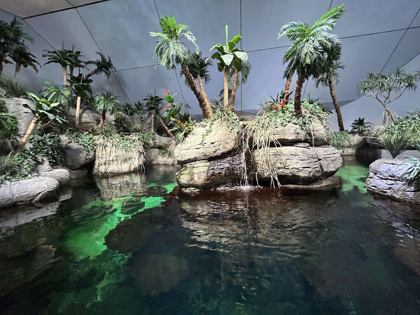Tropical waterfall and pond inside the Rainforest Pyramid at Moody Gardens
