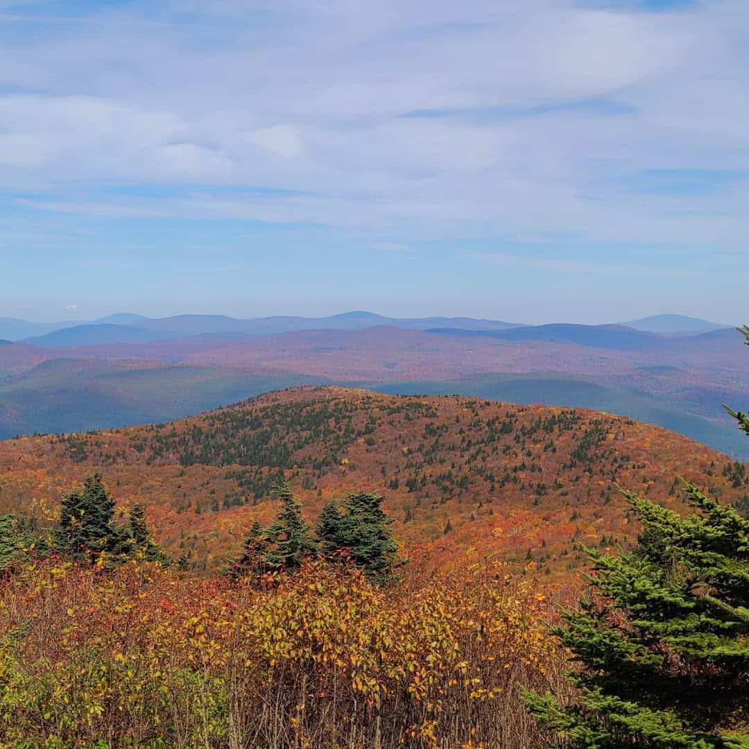 Autumn forest view from the Mount Greylock summit in the Berkshires, Massachusetts in fall