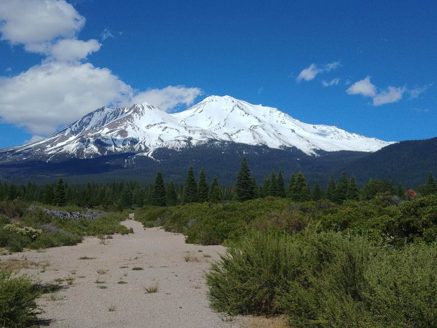 Snow-capped Mount Shasta above the town of Mount Shasta, California