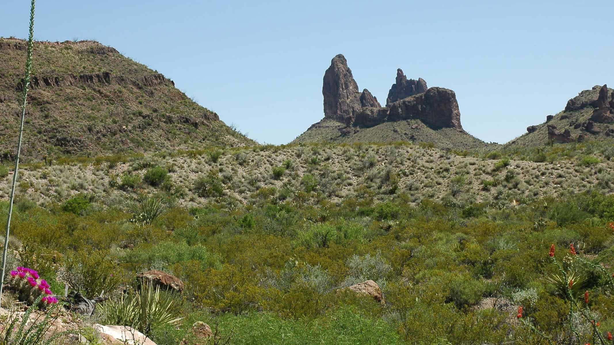 The twin volcanic spires of Mule Ears rising from the desert in Big Bend National Park