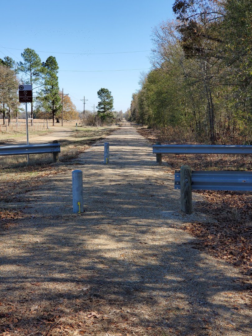 Trailside benches under tall pines on the Northeast Texas Trail