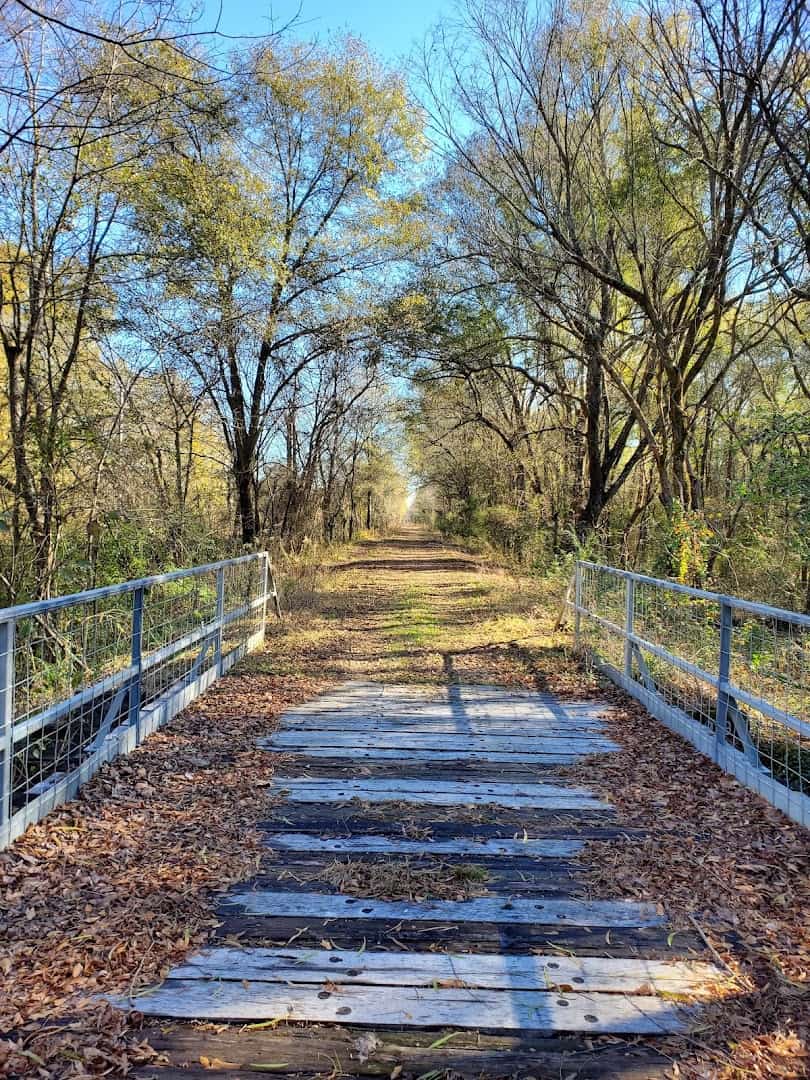 Wooden boardwalk bridge among fall trees on the Northeast Texas Trail