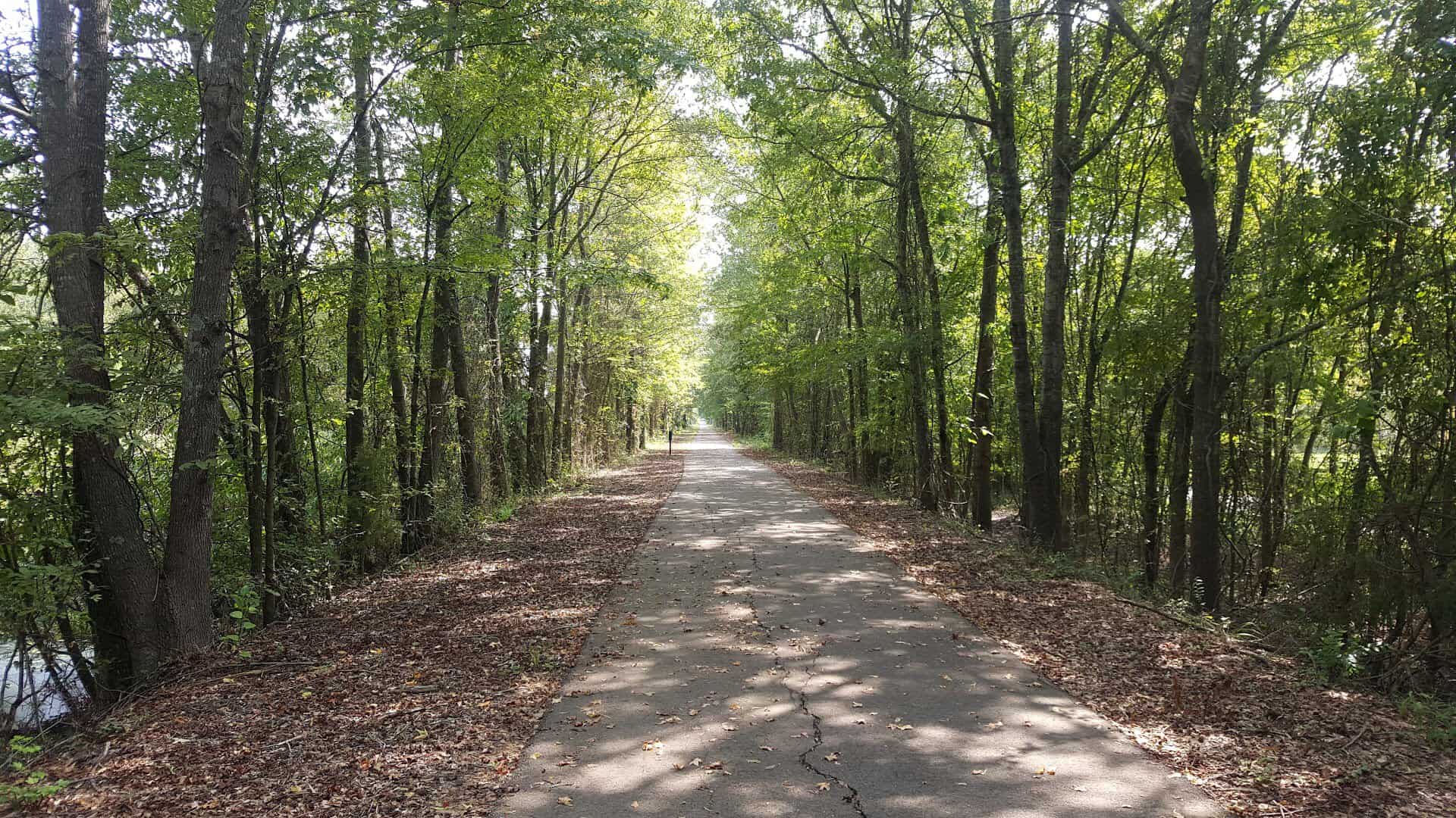Sunlit tree-canopy stretch of the Northeast Texas Trail