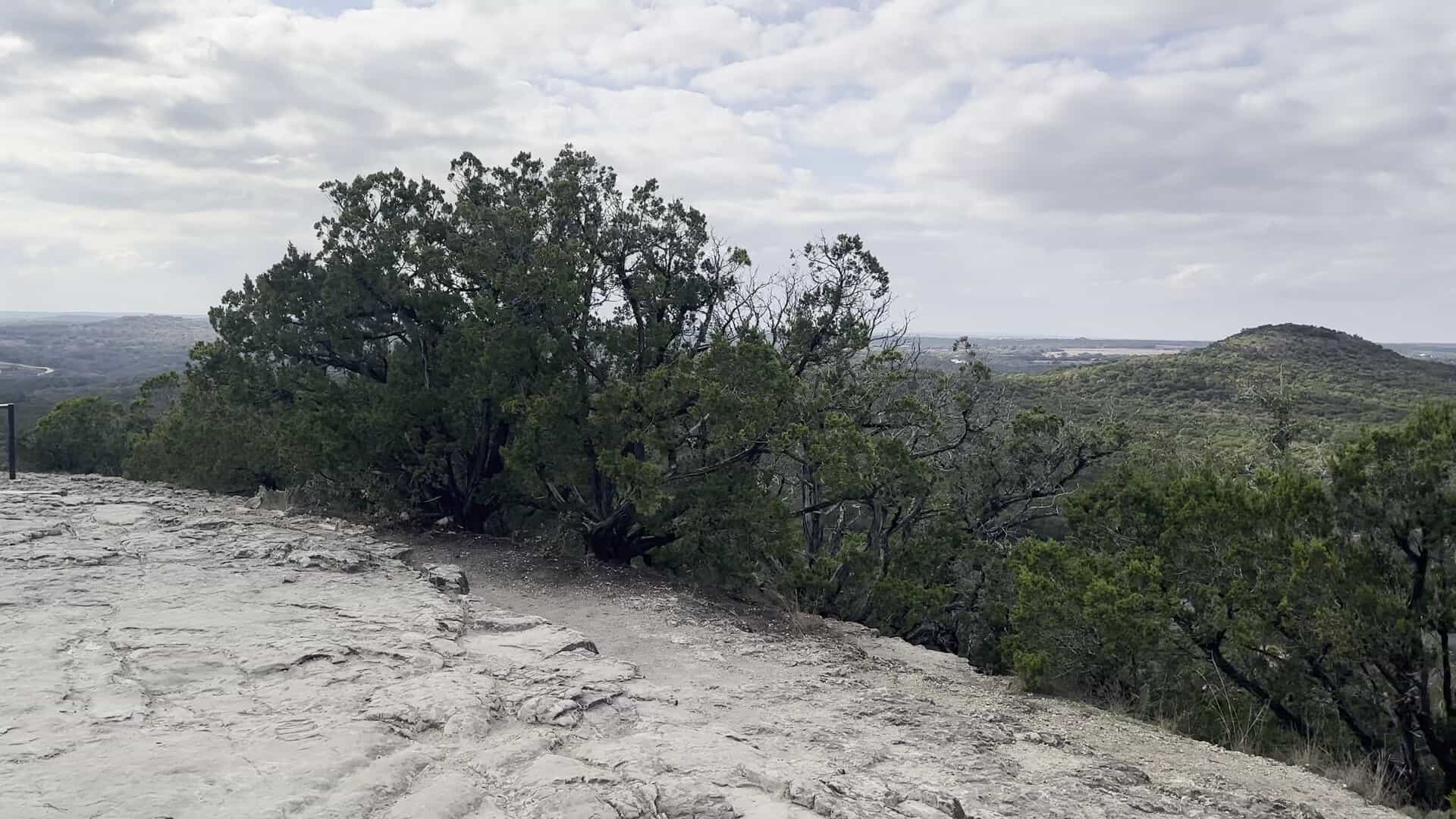 The shadeless bald rock summit of Old Baldy with a lone cedar and a distant Hill Country hill
