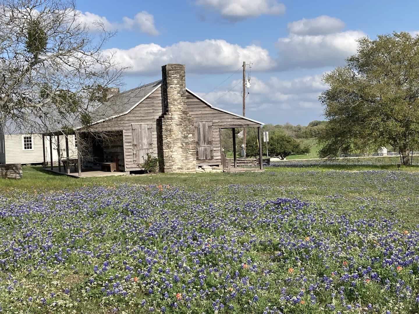 Historic stone chimney above a field of bluebonnets at Old Baylor Park near Independence, Texas
