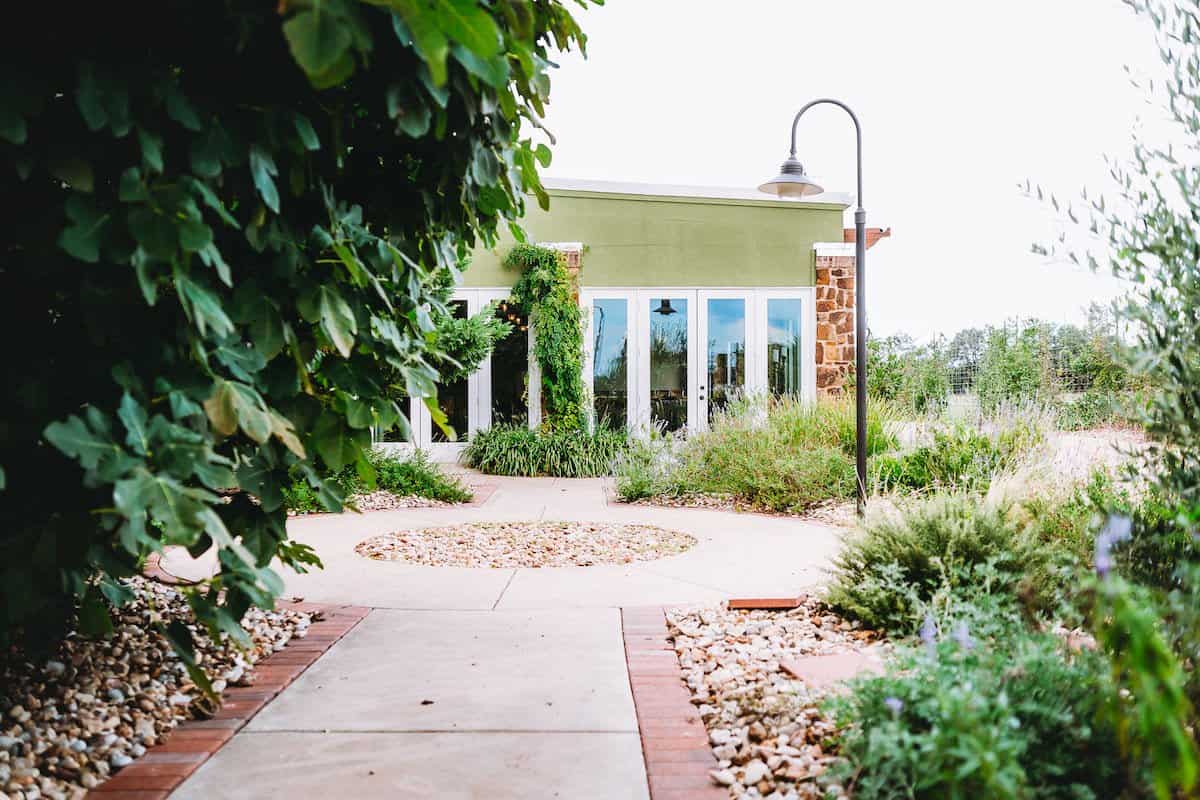 Garden path and olive trees at Texas Hill Country Olive Co. in Dripping Springs, Texas