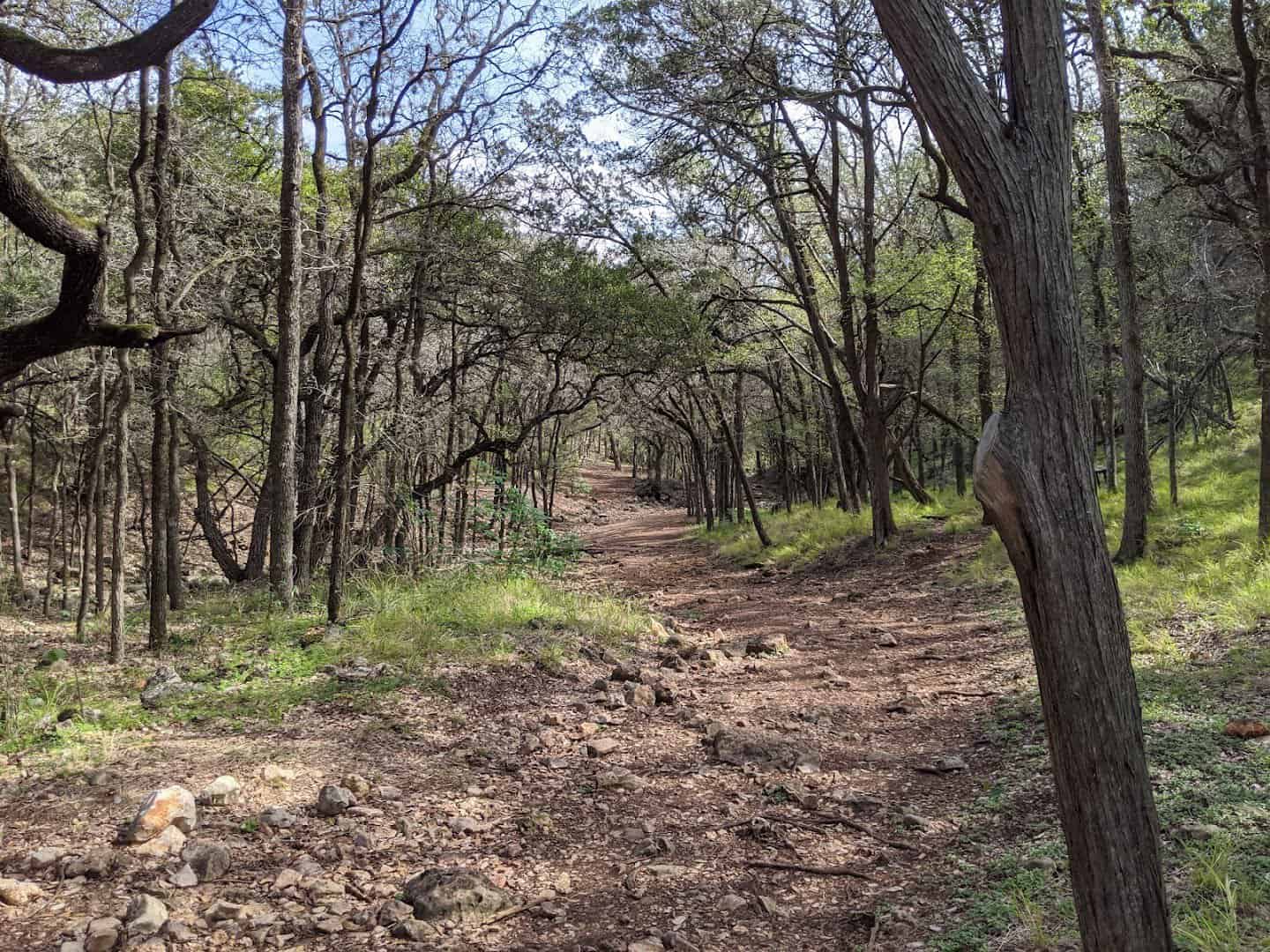 Rocky woodland path on the Panther Canyon Nature Trail at Landa Park in New Braunfels