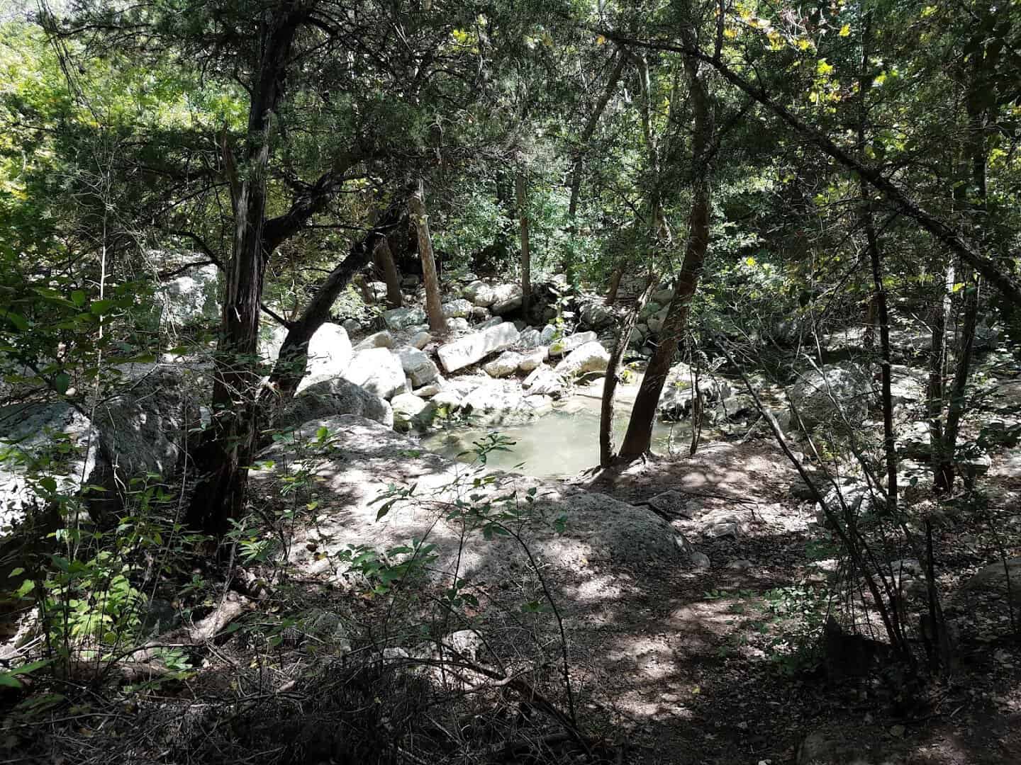 Panther Hollow Creek pooling among boulders on the green canyon floor at River Place Nature Trail, Austin, Texas