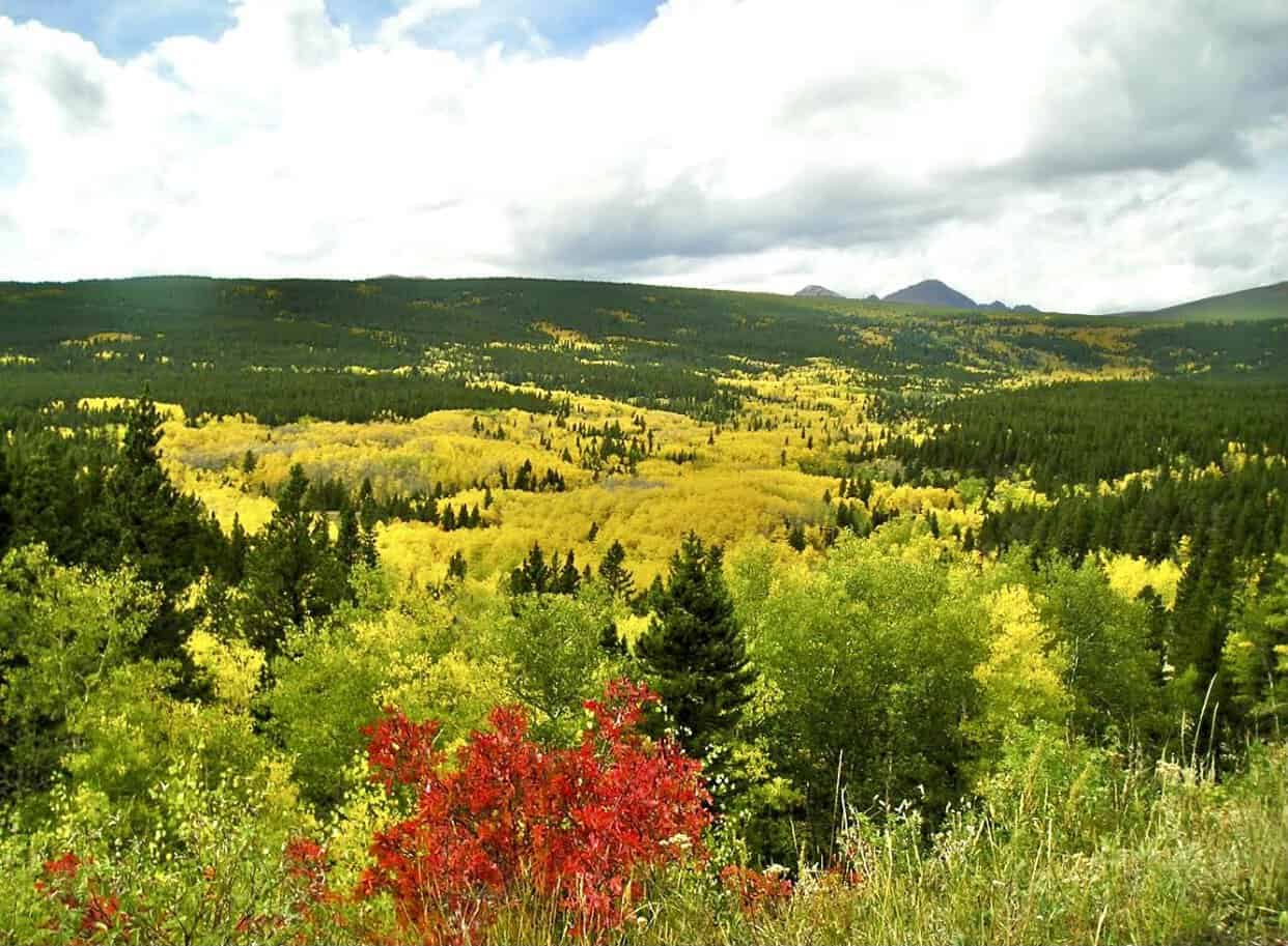 Golden aspen valley along the Peak to Peak Scenic Byway Colorado