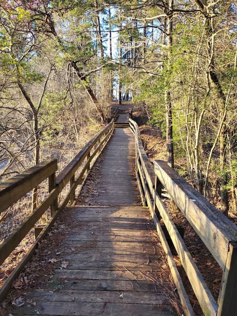 The Pineywoods Boardwalk winding through tall pines at Lake Livingston State Park, Texas