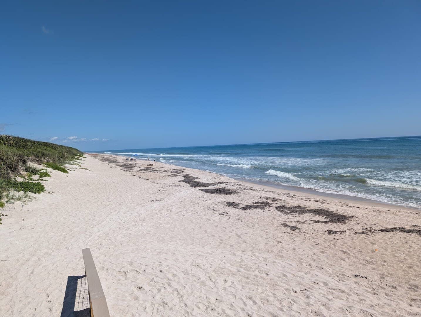Empty undeveloped shoreline at Playalinda Beach, Canaveral National Seashore, Florida