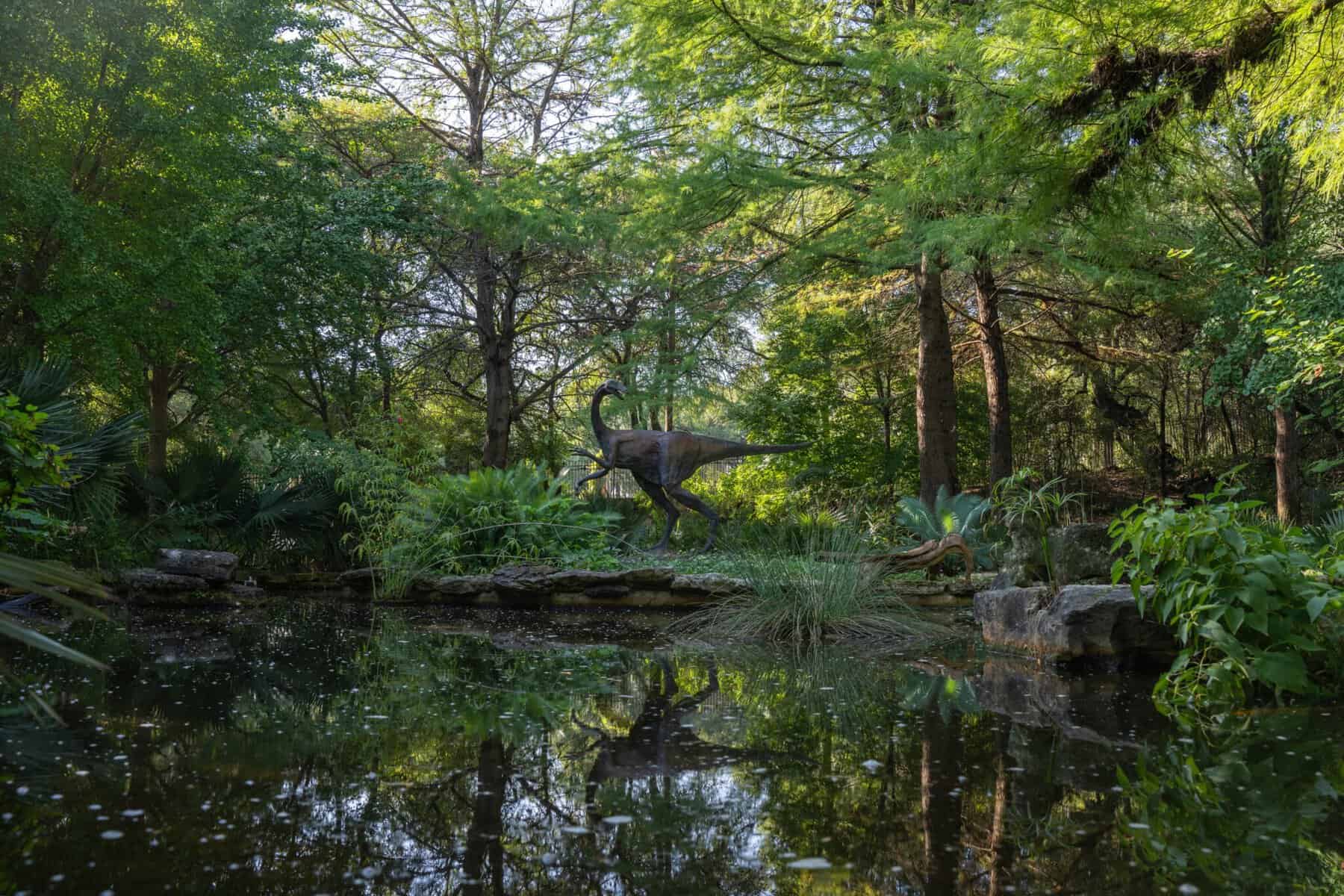 The pond in the Hartman Prehistoric Garden at Zilker Botanical Garden in Austin, Texas
