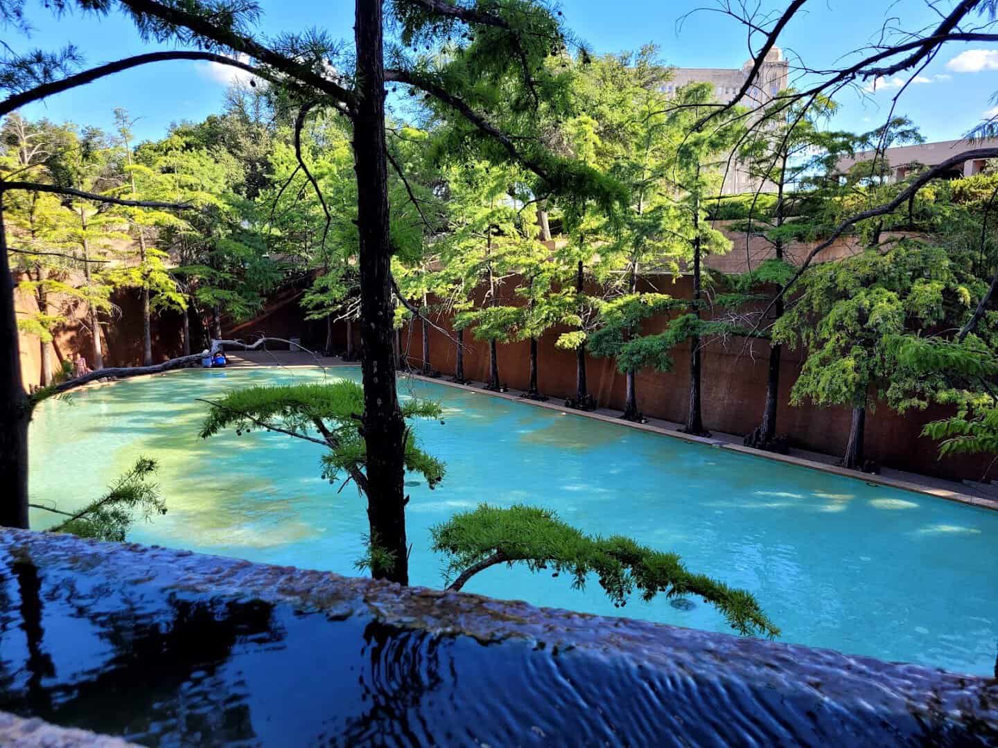 Cypress trees over the still blue water of the Quiet Pool at the Fort Worth Water Gardens