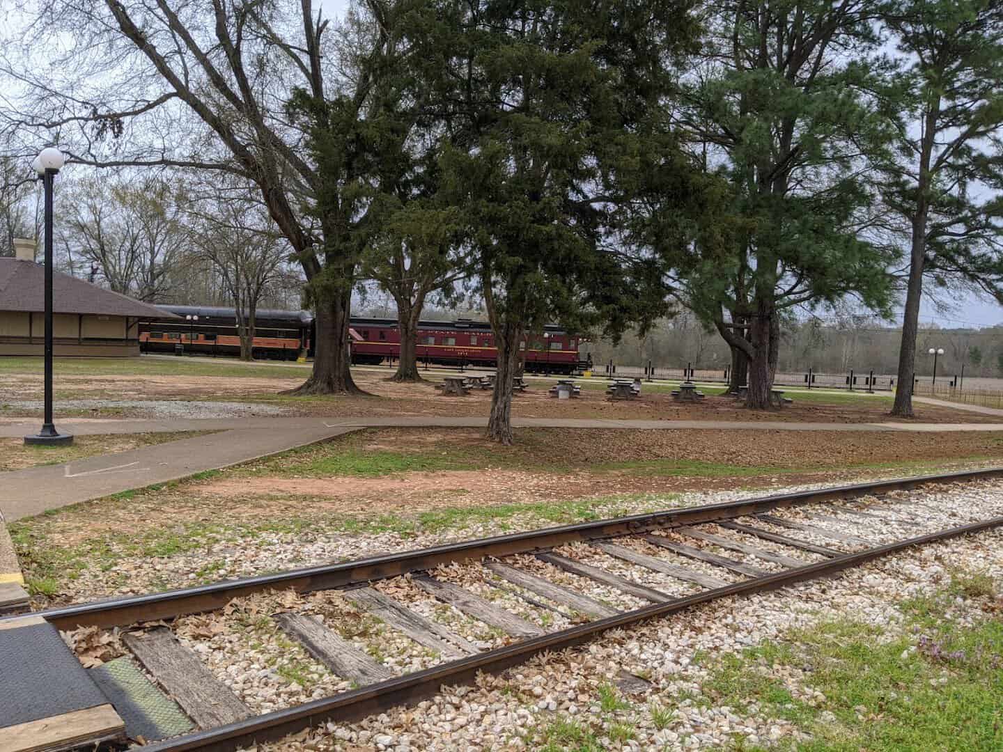 Railroad tracks winding through the East Texas Piney Woods on the Texas State Railroad