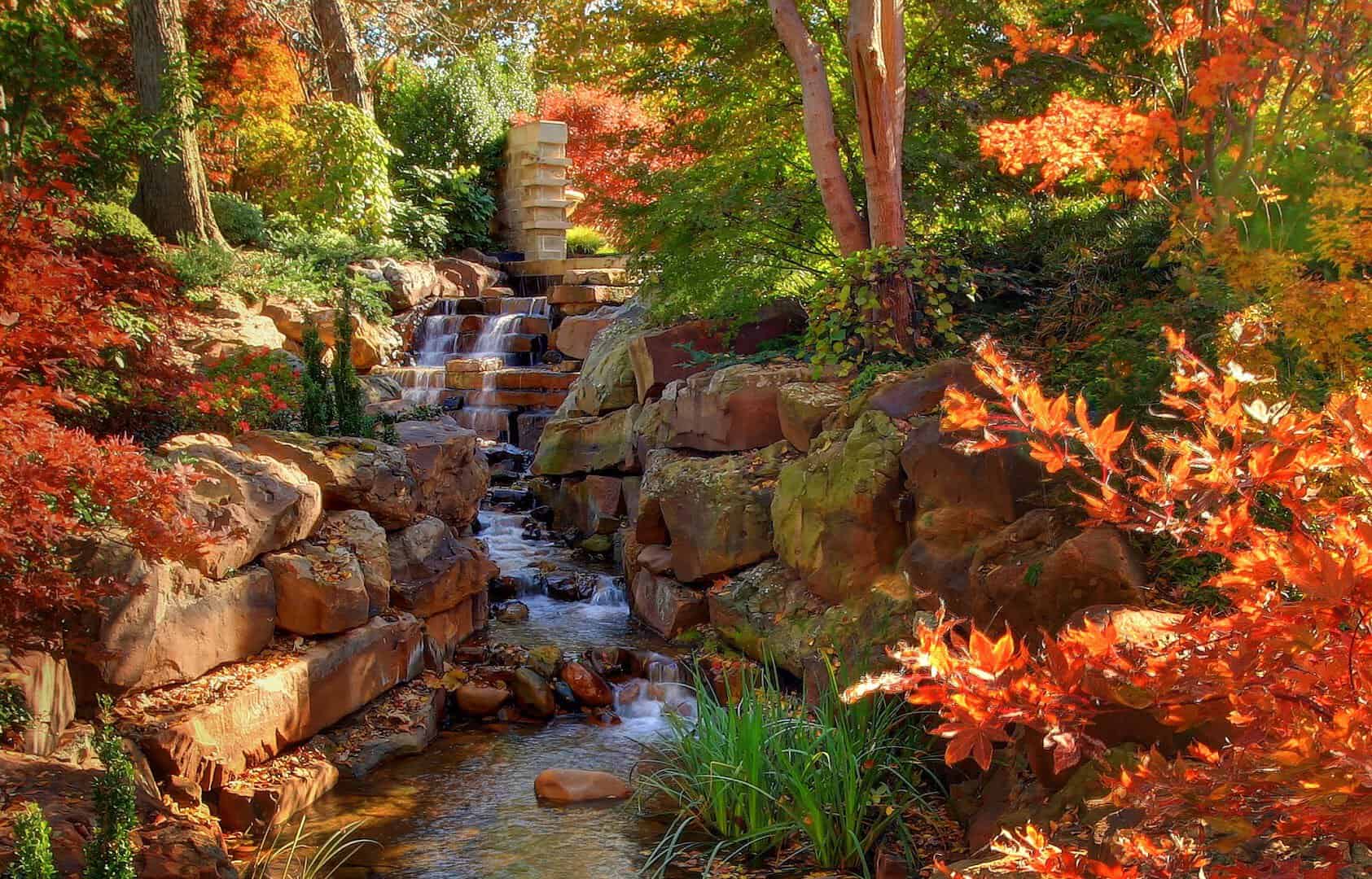 Autumn Japanese maples along the Nancy Rutchik Red Maple Rill at the Dallas Arboretum in Dallas