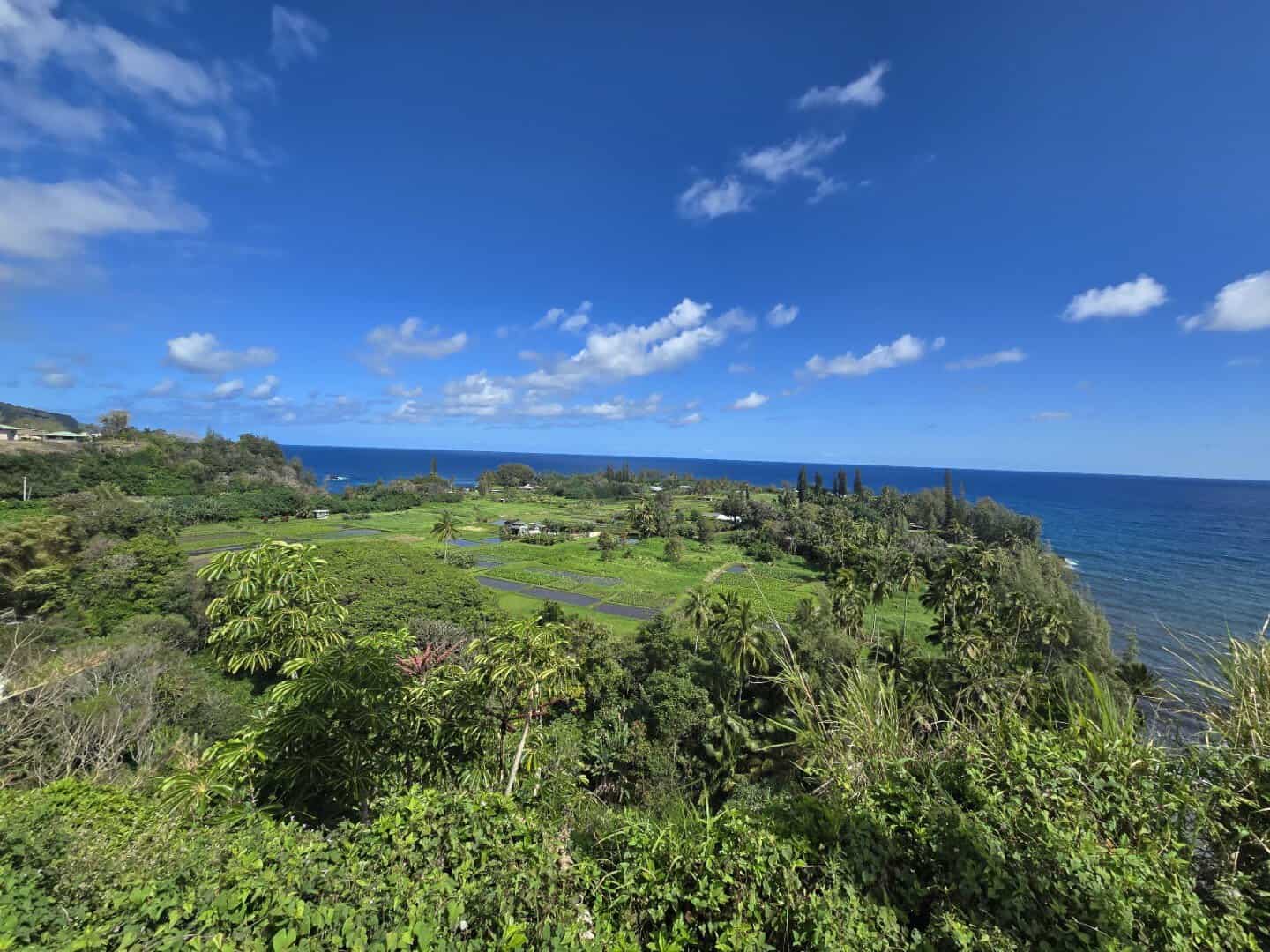 Lush tropical coastline along the Road to Hana on Maui, Hawaii