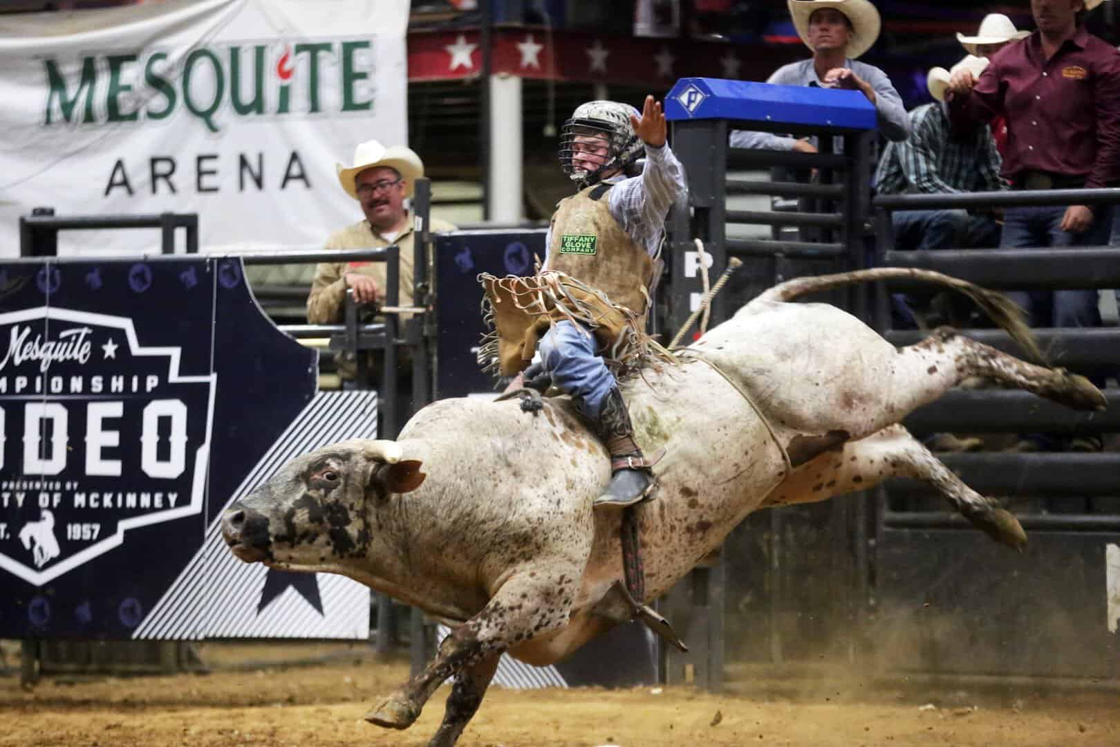 A cowboy rides a bull at the Mesquite Championship Rodeo in Mesquite, Texas