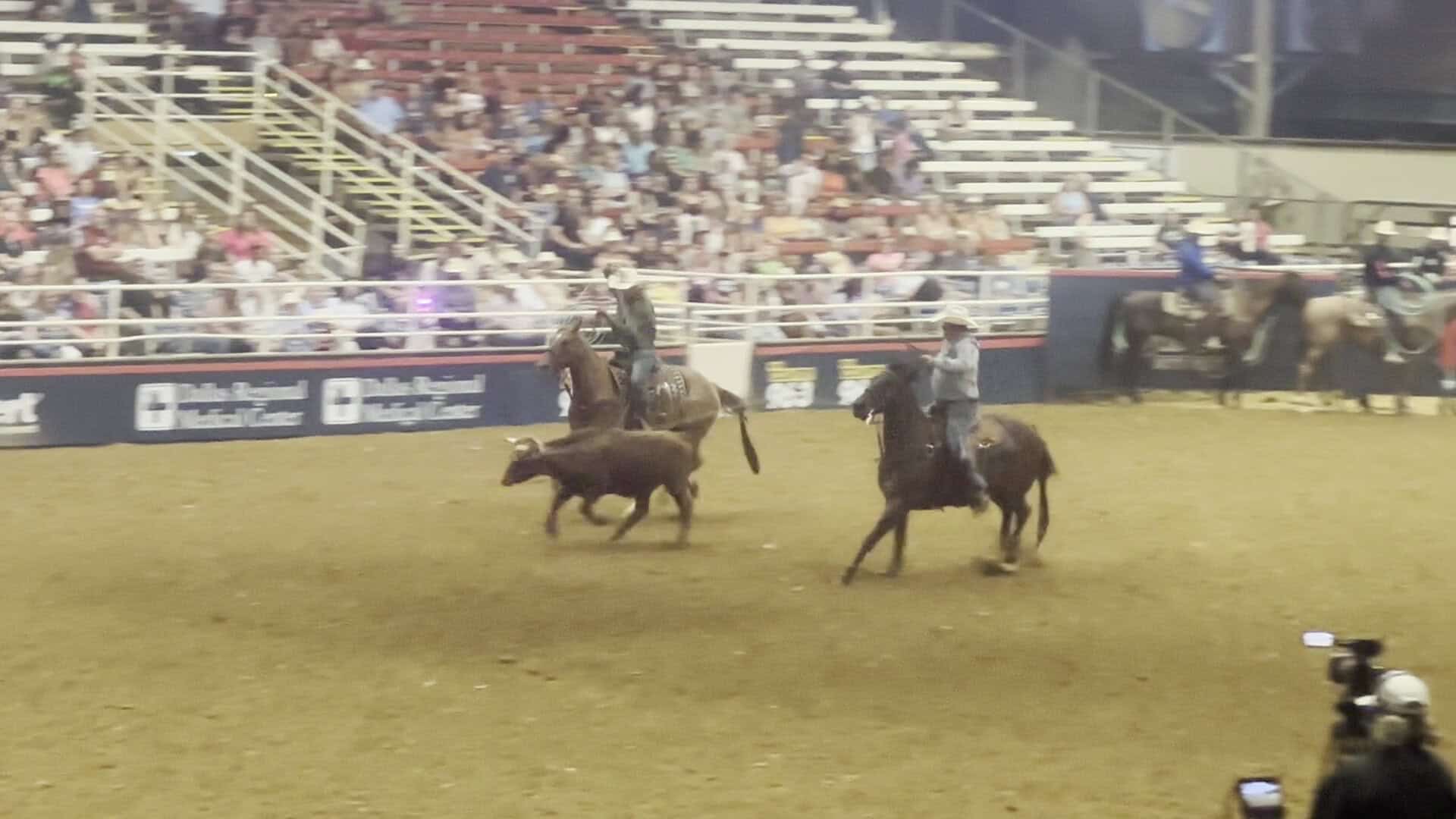 A roping event underway at the Mesquite Championship Rodeo in Mesquite, Texas