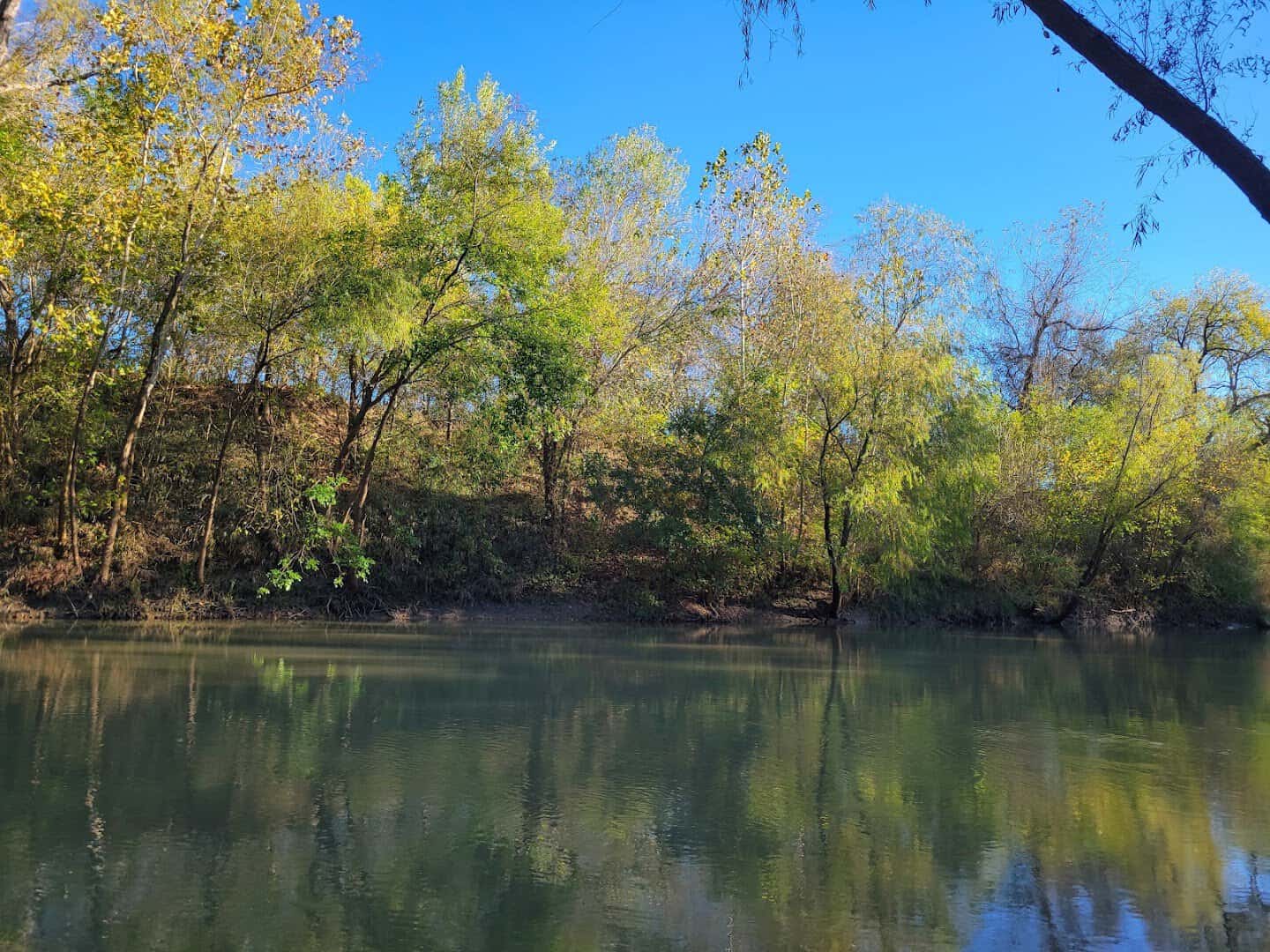 Cypress-lined San Antonio River reflecting trees at Goliad State Park, Texas