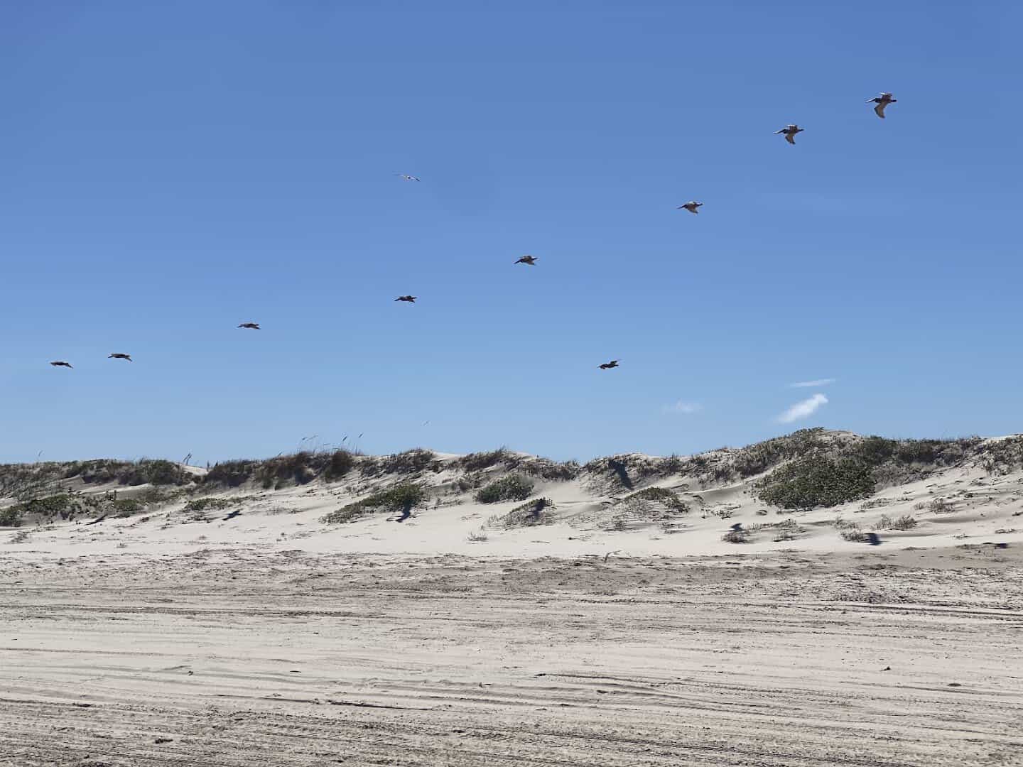 Tall wind-carved sand dunes along the Gulf beach at Mustang Island State Park near Port Aransas, Texas