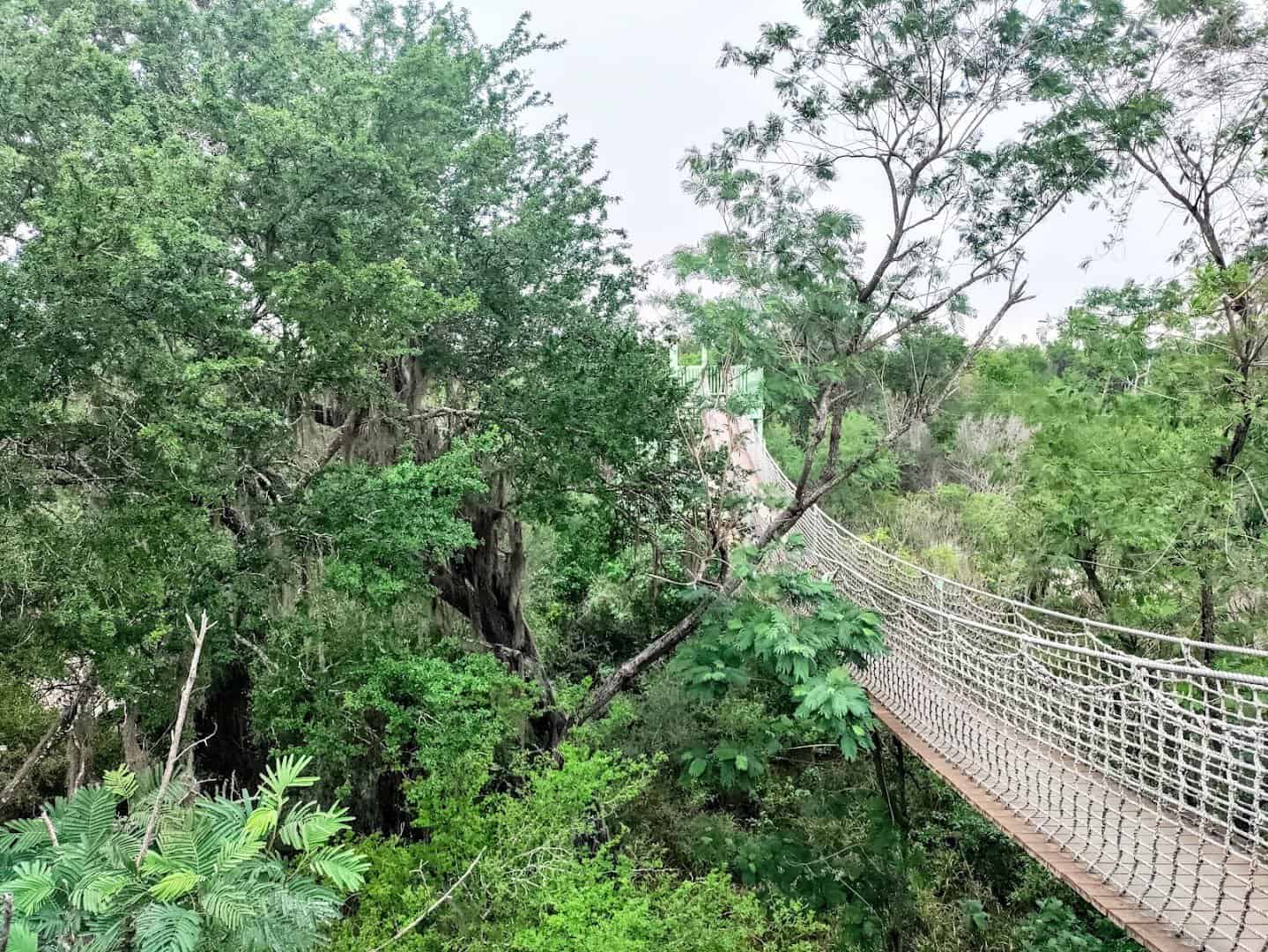 Suspension bridge of the canopy walk through the forest at Santa Ana National Wildlife Refuge