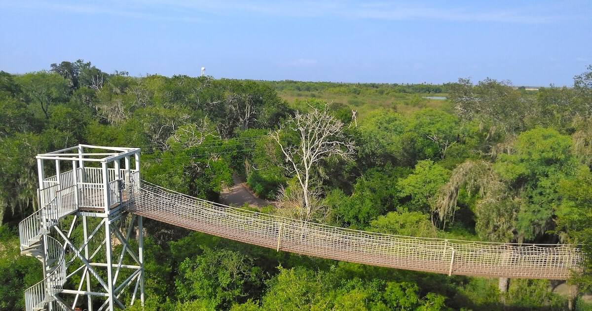 This Lush Texas Wildlife Sanctuary Has an 18-Foot Boardwalk That Lets You Walk Among the Treetops