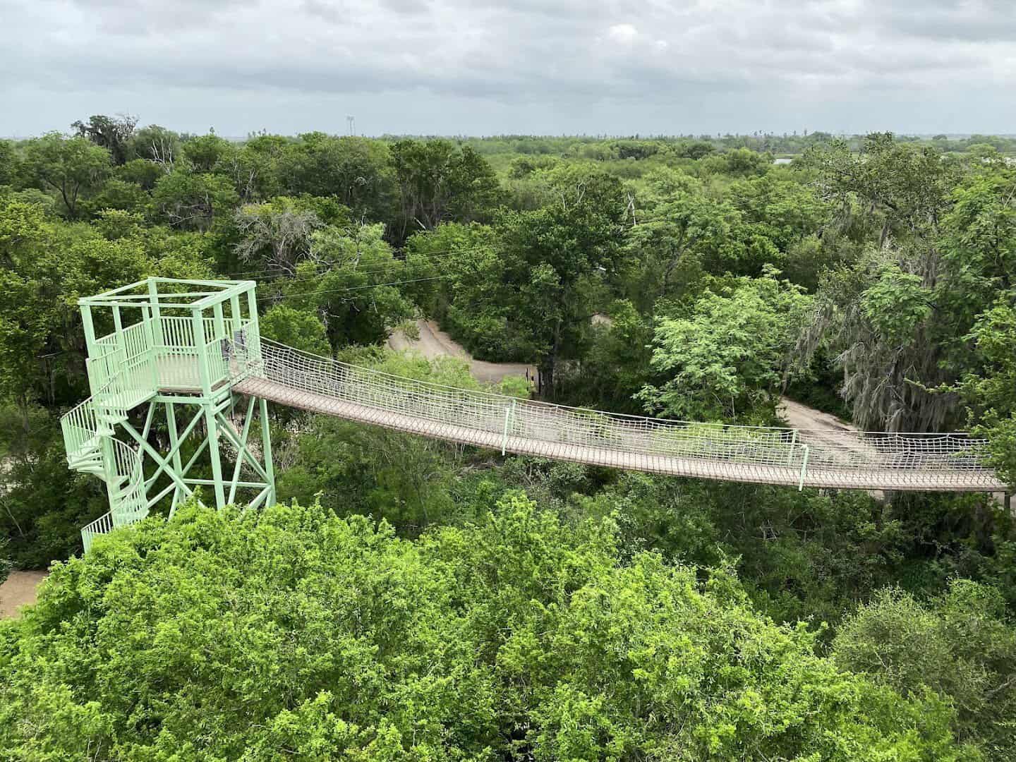 Observation tower over the canopy at Santa Ana National Wildlife Refuge near Alamo, Texas