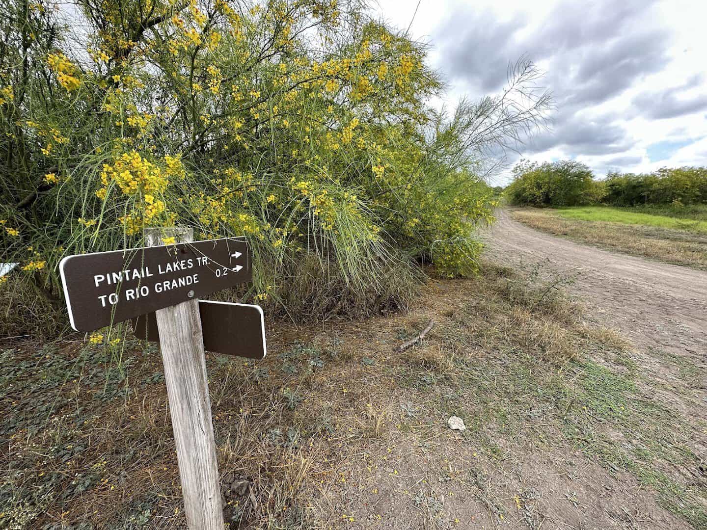 Trail sign along the wildlife drive at Santa Ana National Wildlife Refuge