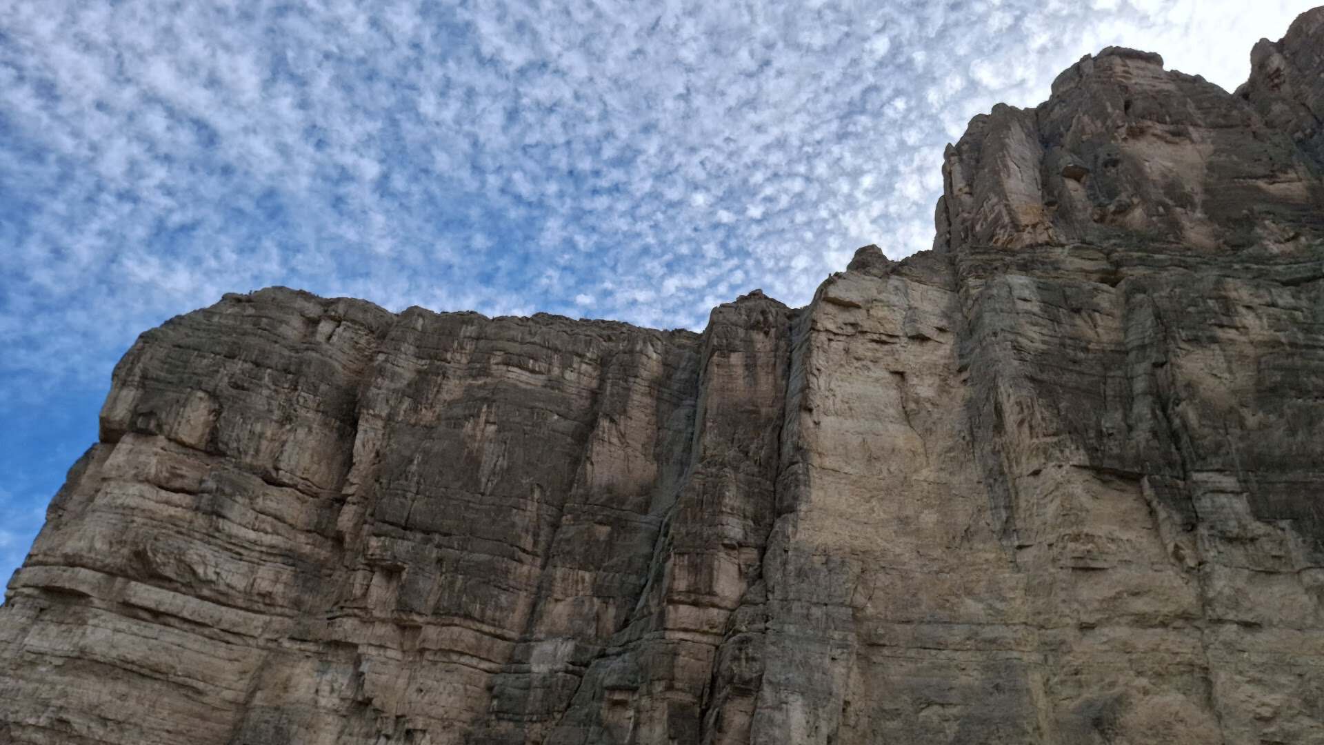 Sheer limestone wall of Santa Elena Canyon rising toward the sky
